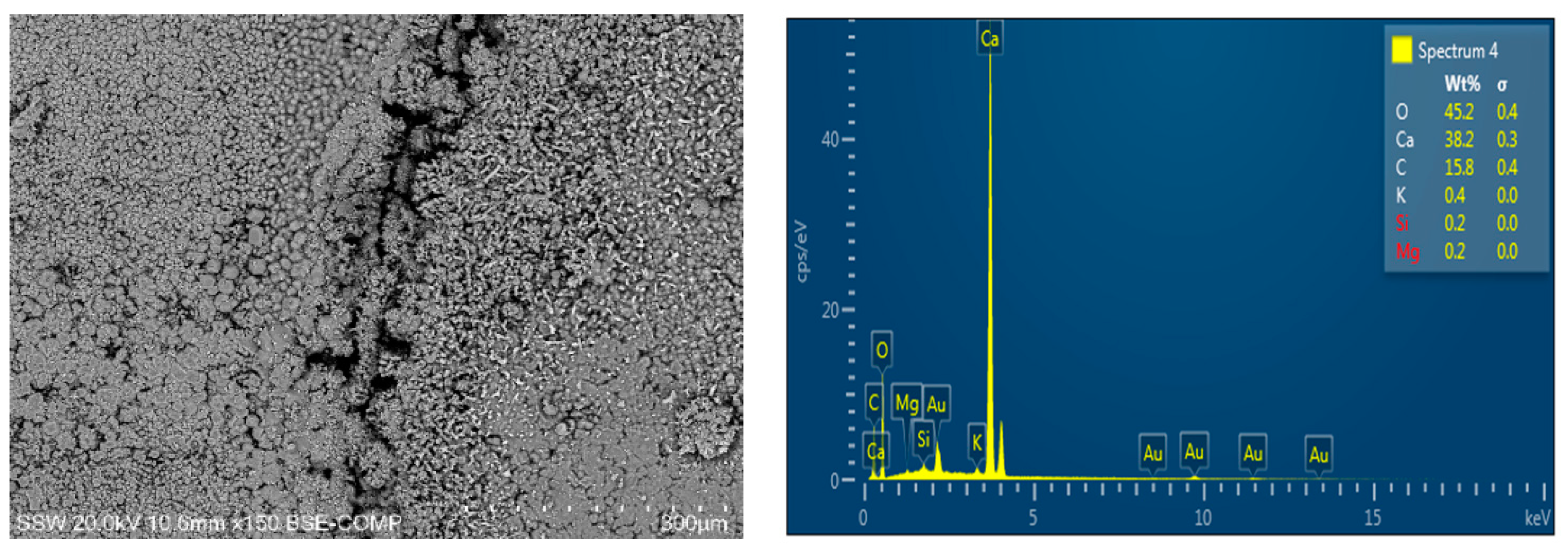 Sustainability 13 13999 g007 550