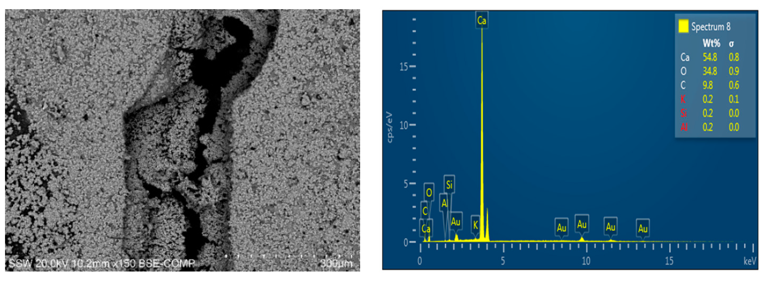 Sustainability 13 13999 g009 550