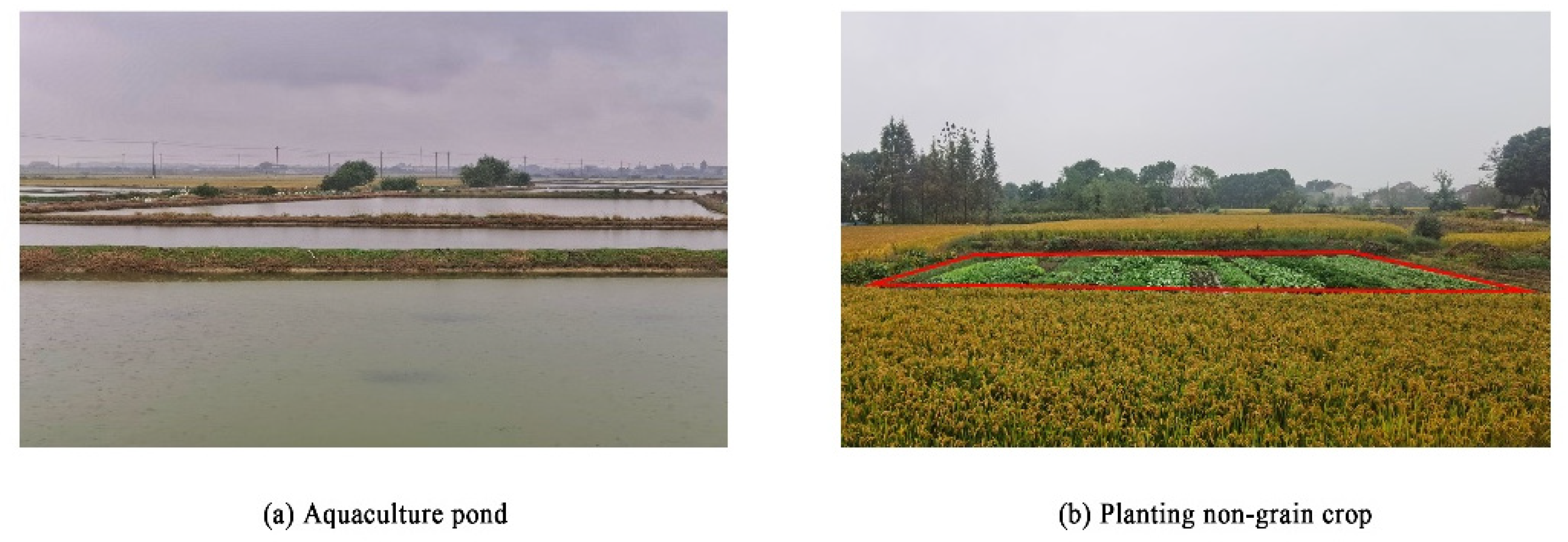 Sustainability 13 14047 g002 550