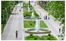 Sustainability 13 14059 i003