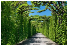 Sustainability 13 14059 i004