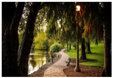 Sustainability 13 14059 i005