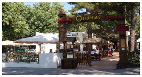 Sustainability 13 14059 i008