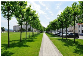 Sustainability 13 14059 i009