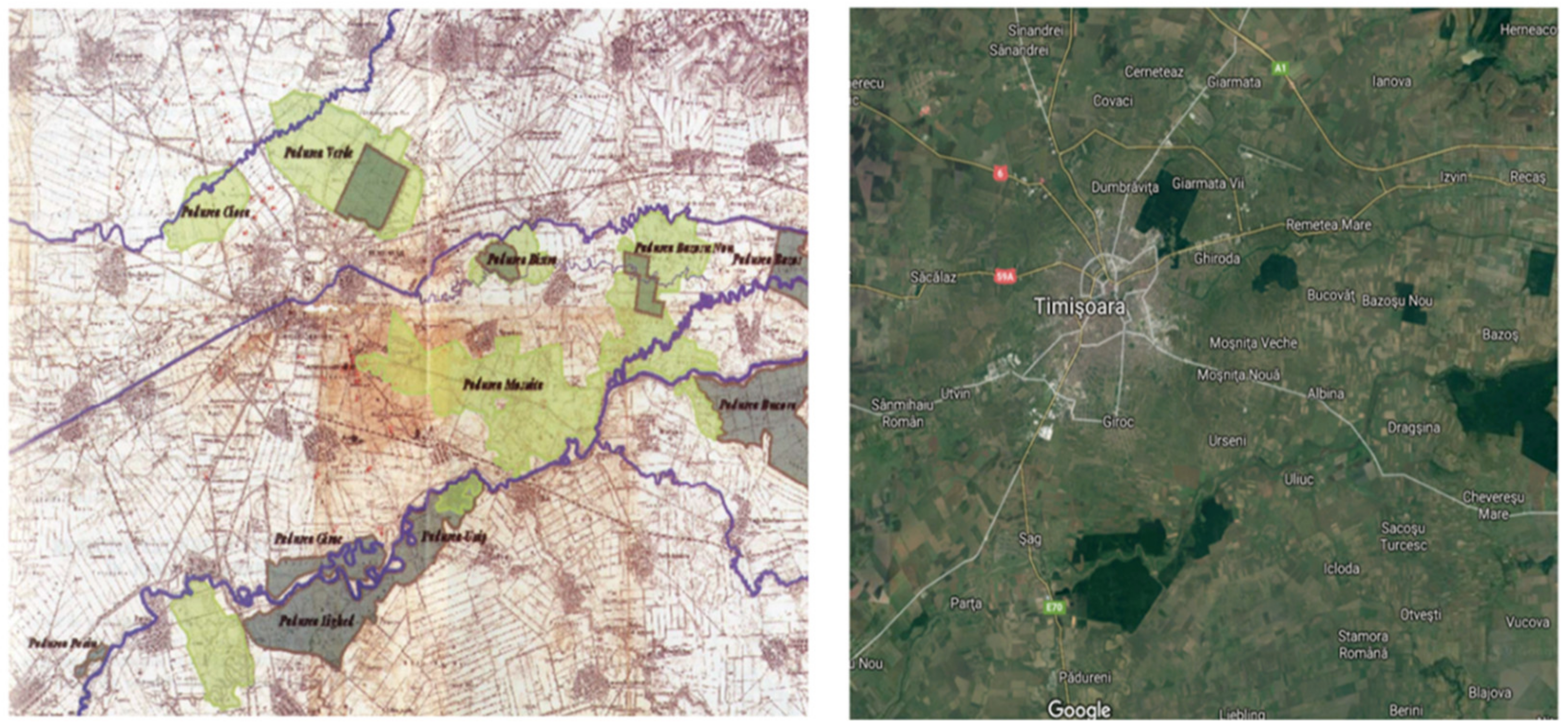 Sustainability 13 14068 g002