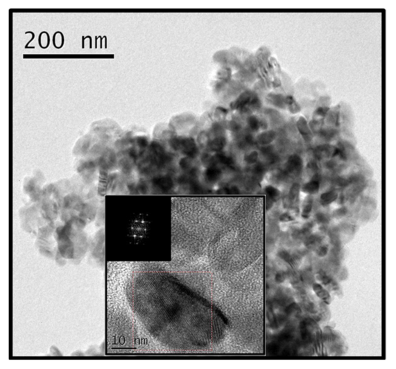 Sustainability 13 14071 g004