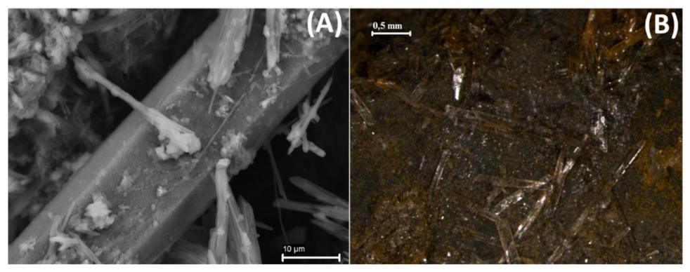 Sustainability 13 14071 g005