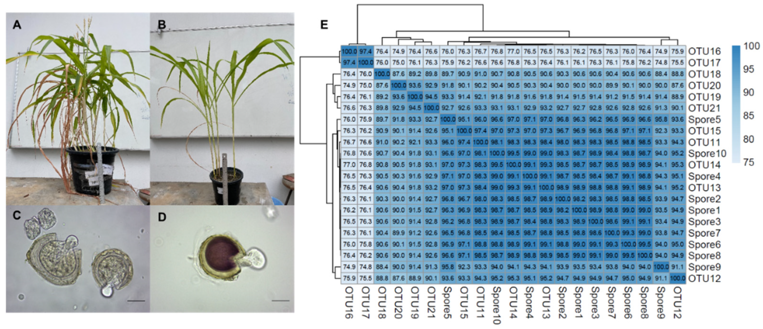 Sustainability 14 00031 g002 550