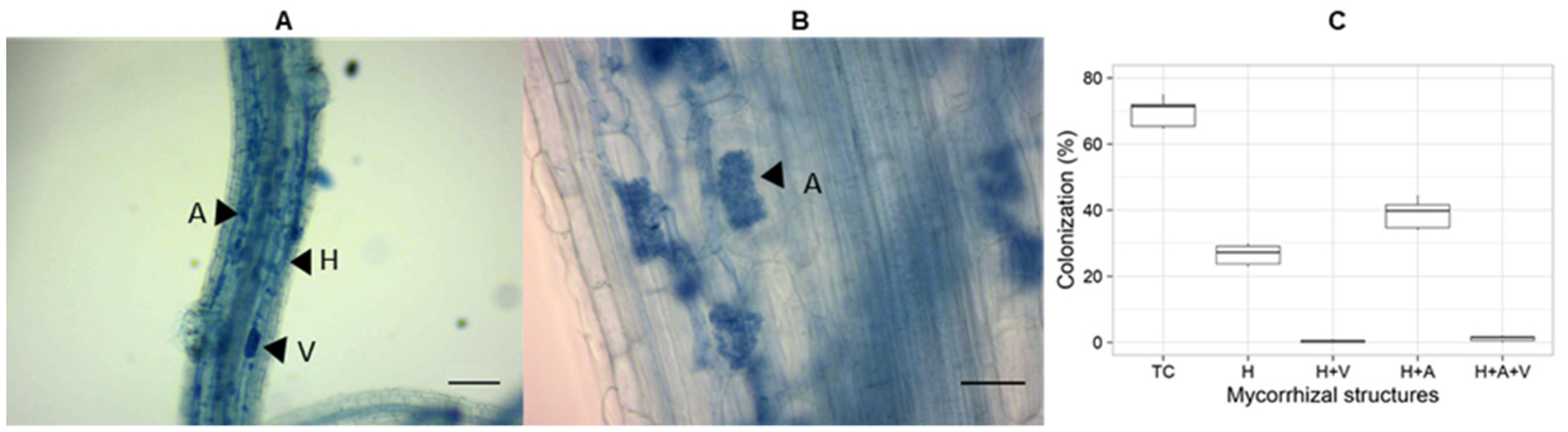Sustainability 14 00031 g003 550