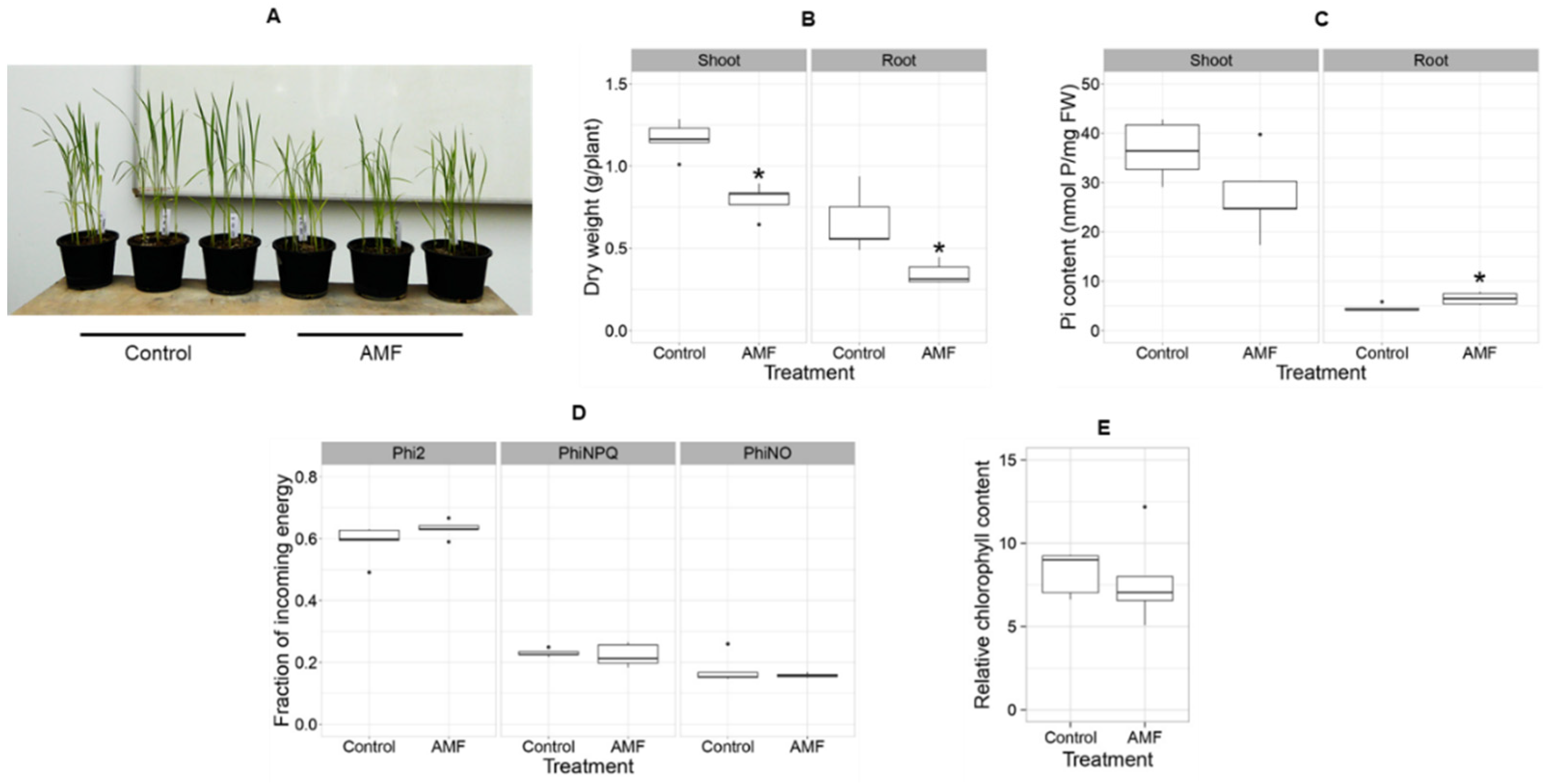 Sustainability 14 00031 g004 550
