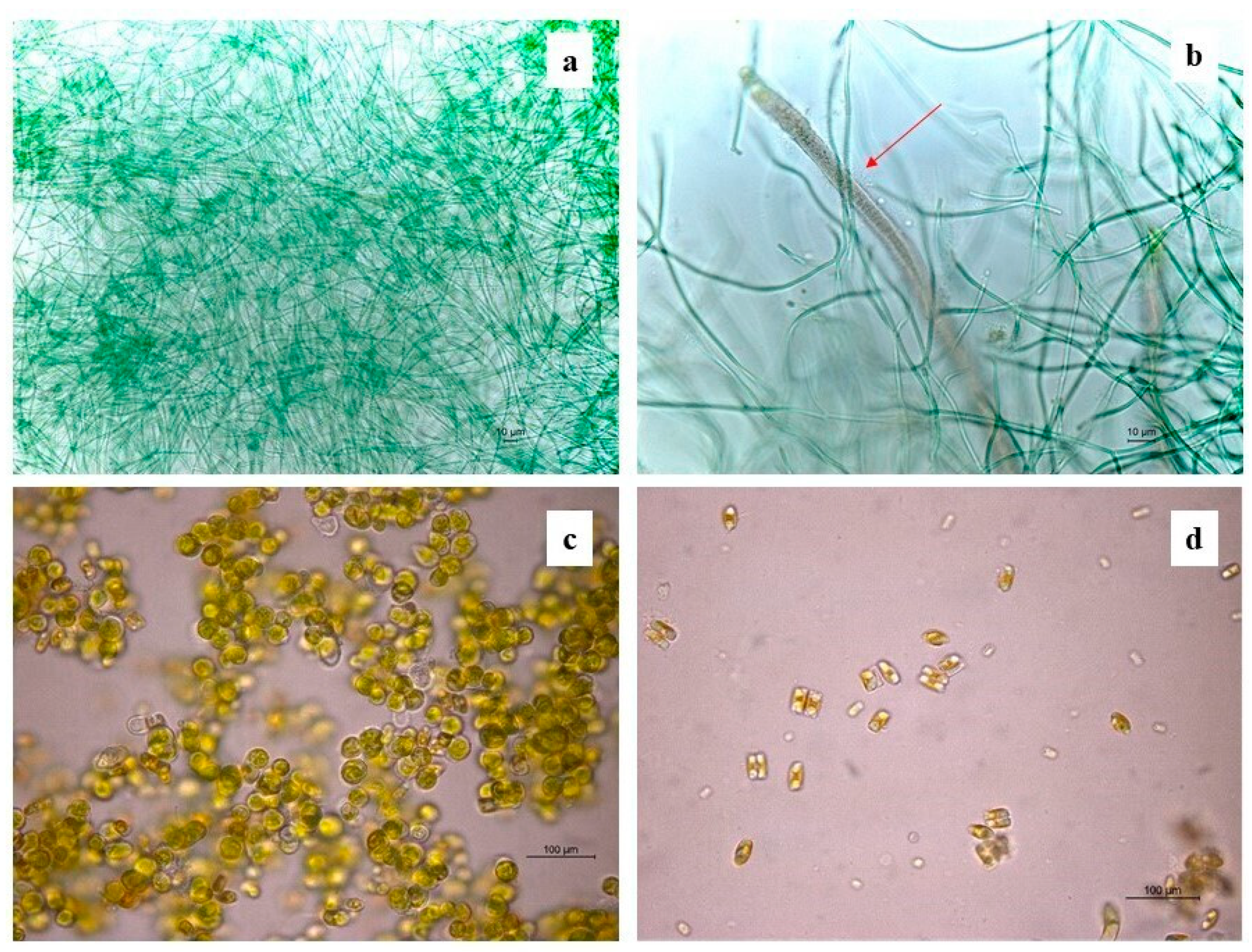 Sustainability 14 00034 g004 Sustainability 14 00034 g004
