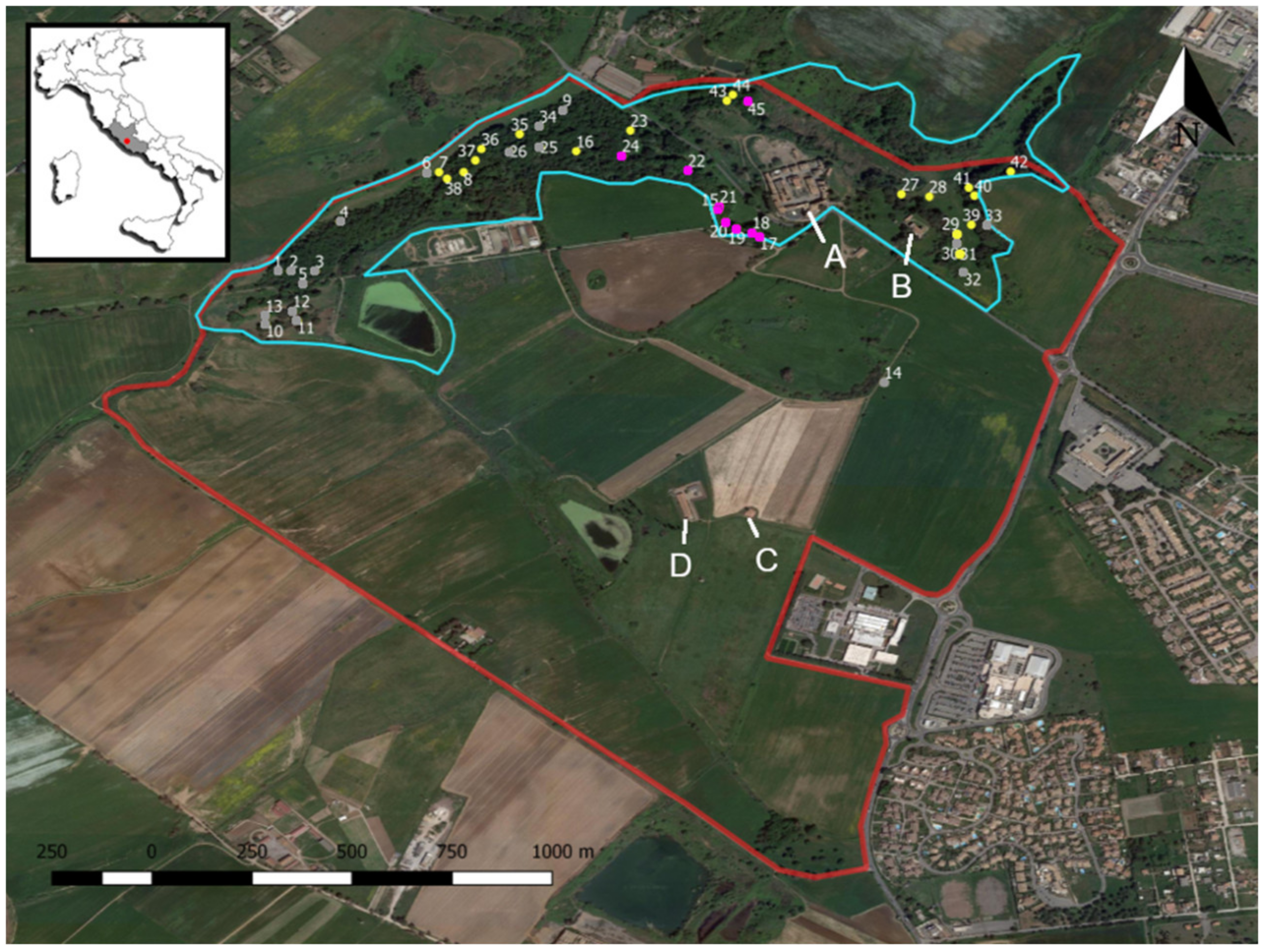 Sustainability 14 00056 g001