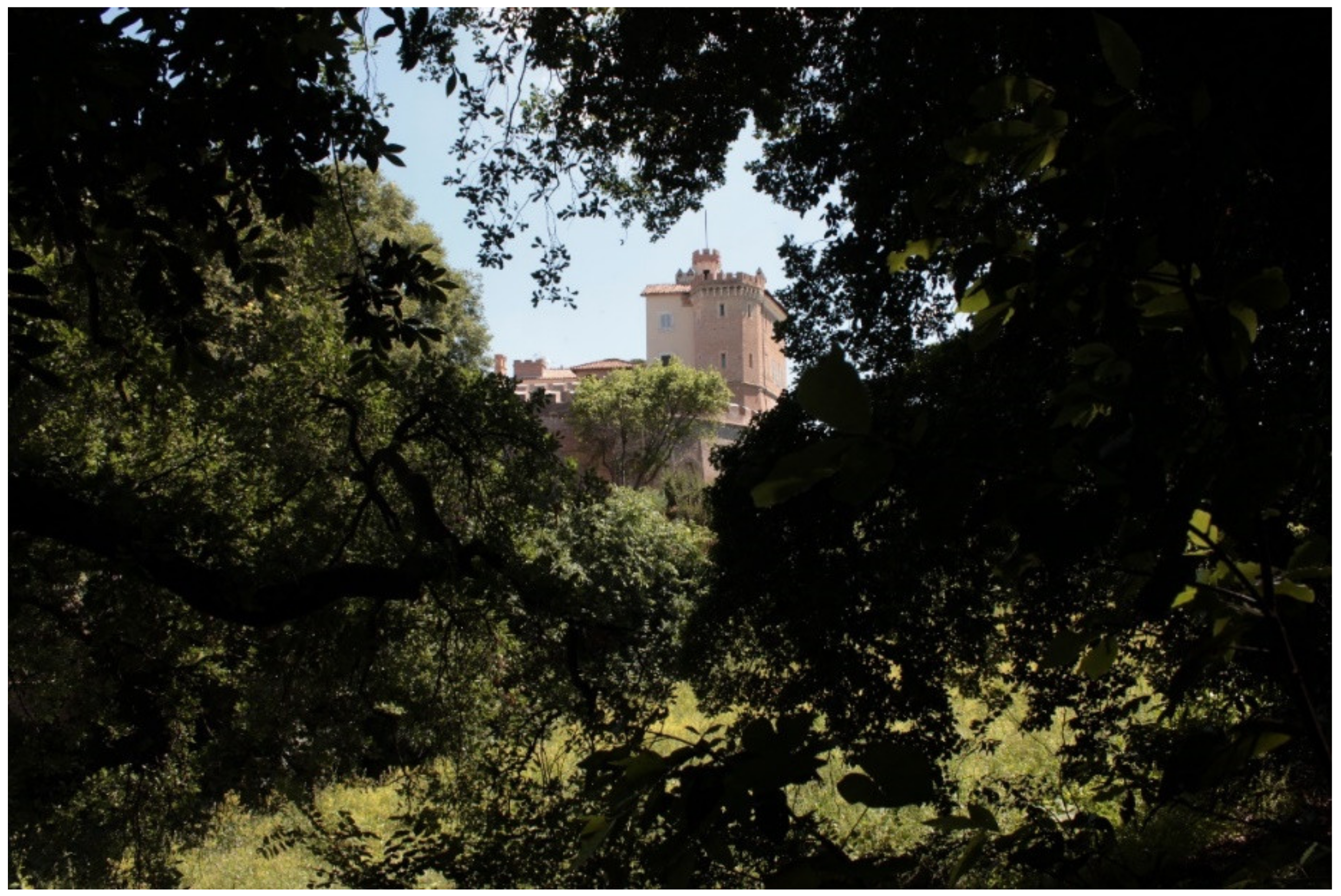 Sustainability 14 00056 g002