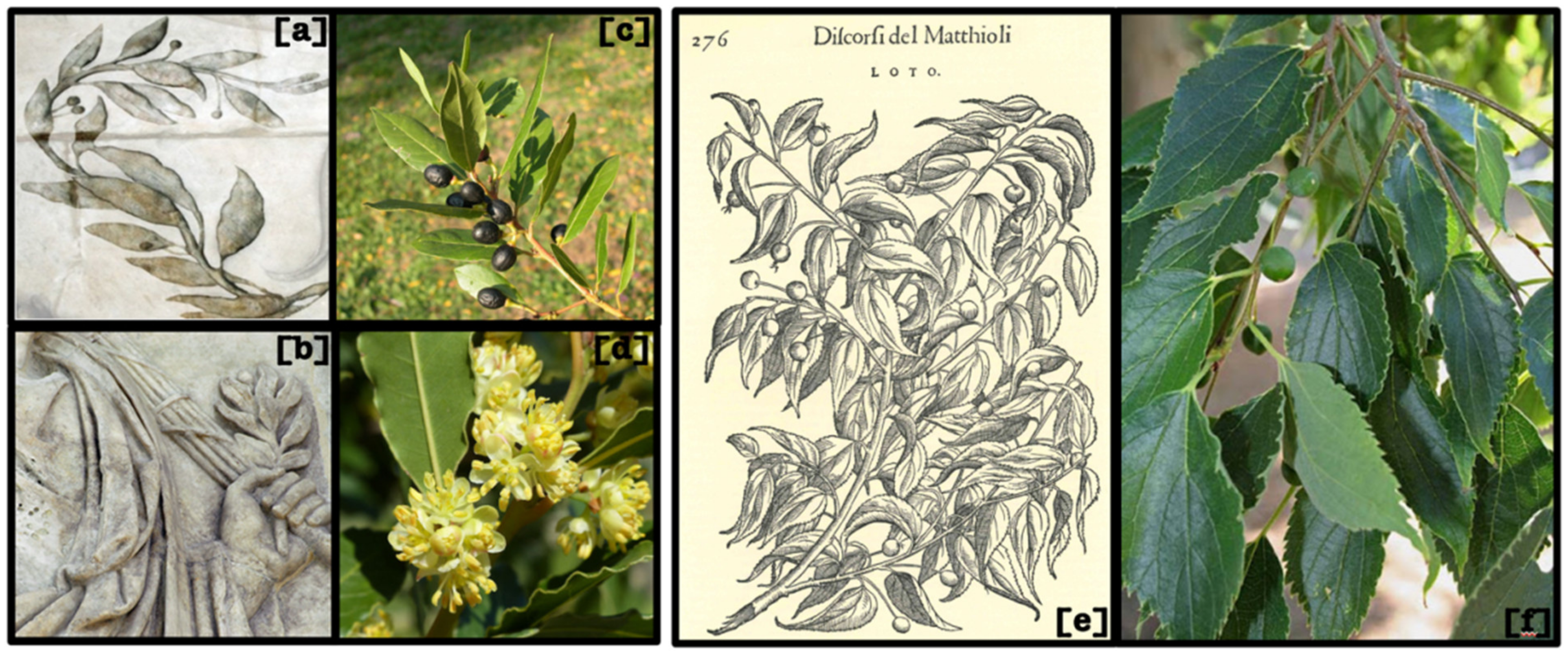 Sustainability 14 00056 g005