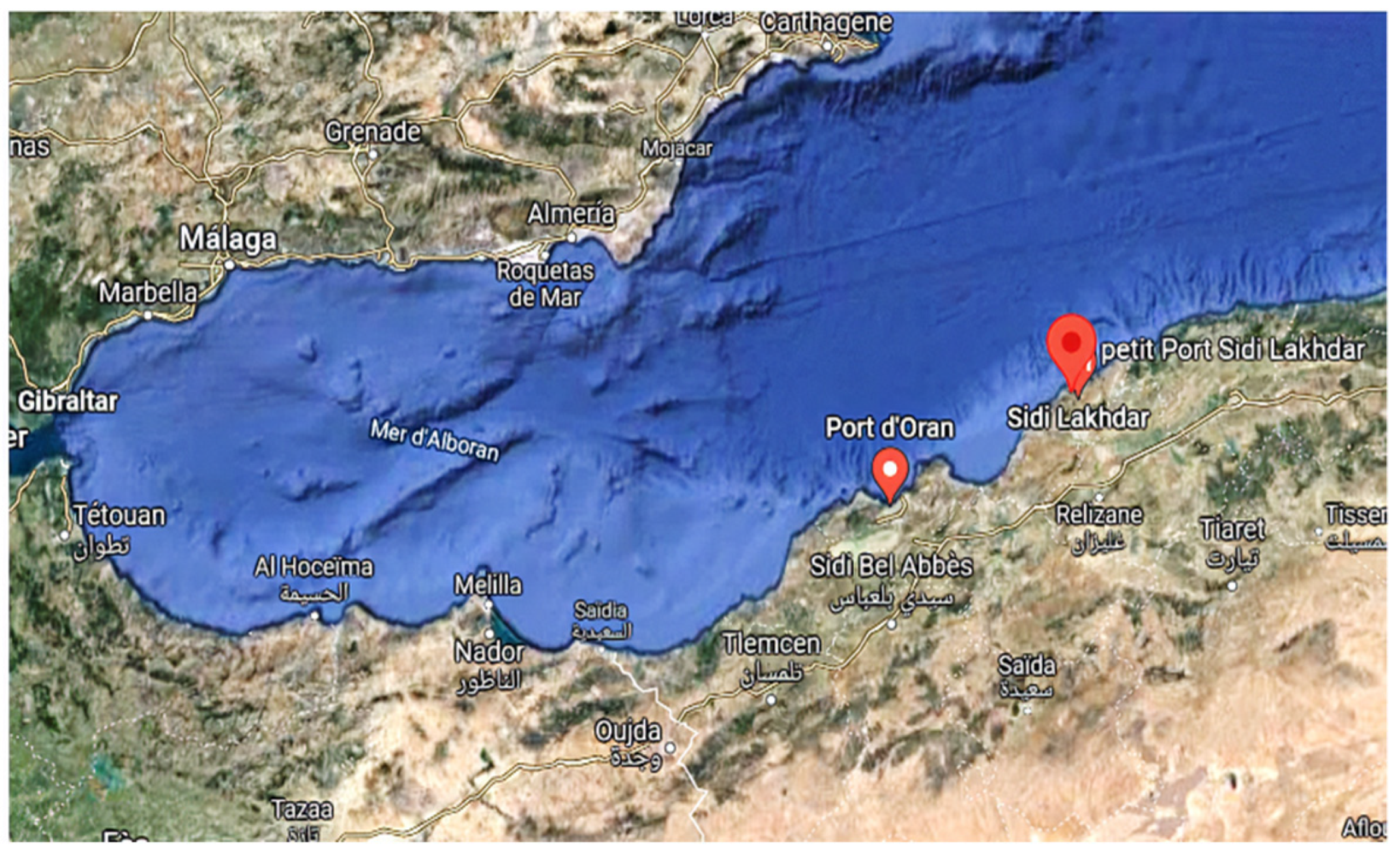 Sustainability 14 00102 g001