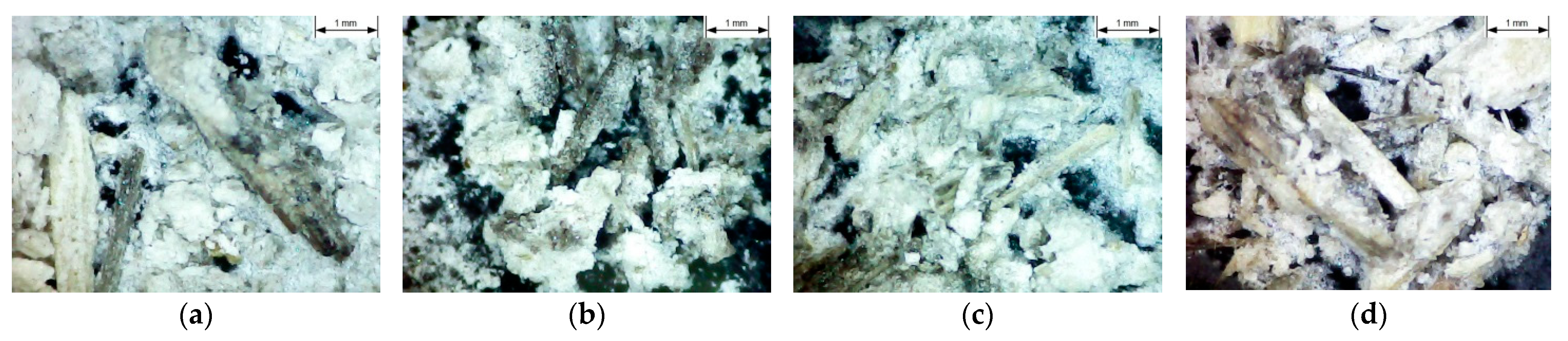 Sustainability 14 00103 g012