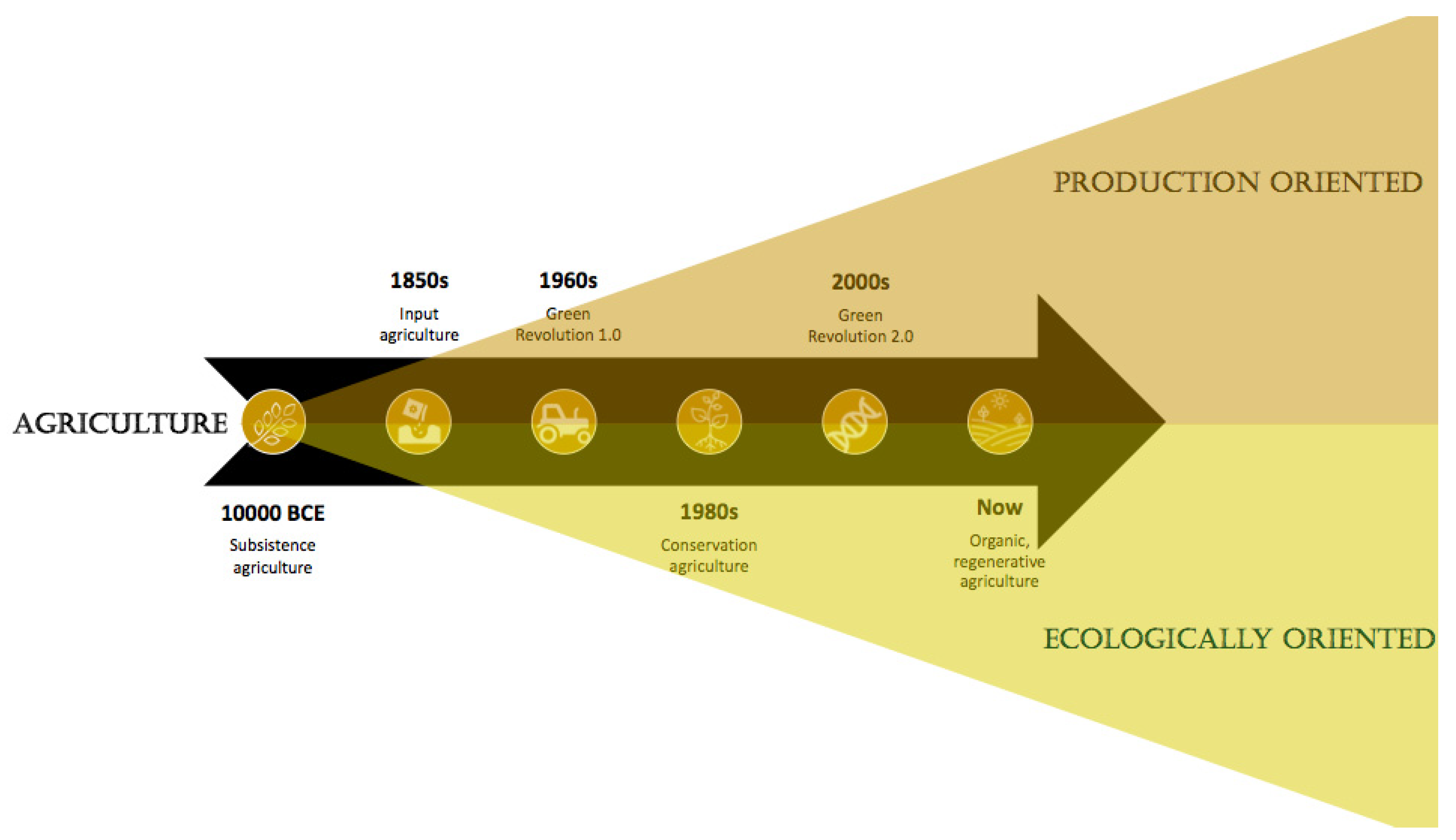 Sustainability 14 00106 g001