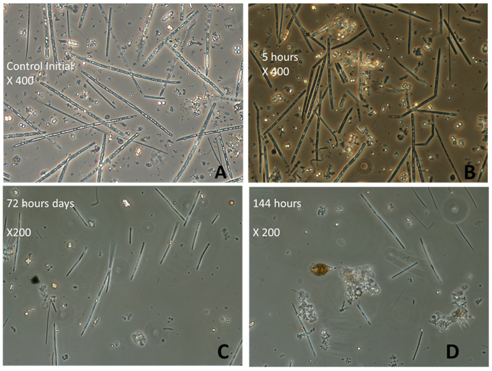 Sustainability 14 00123 g005
