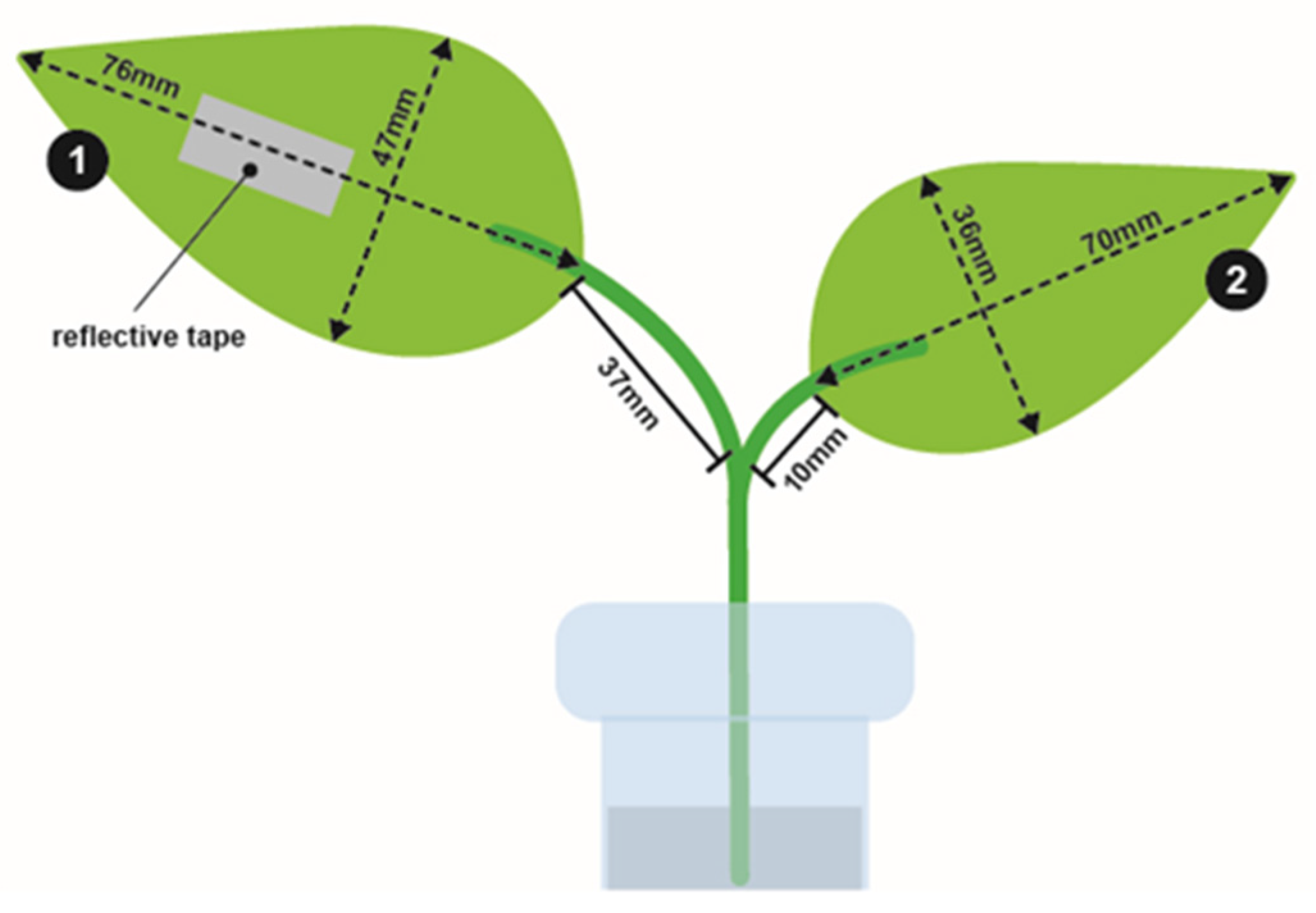 Sustainability 14 00185 g001 550