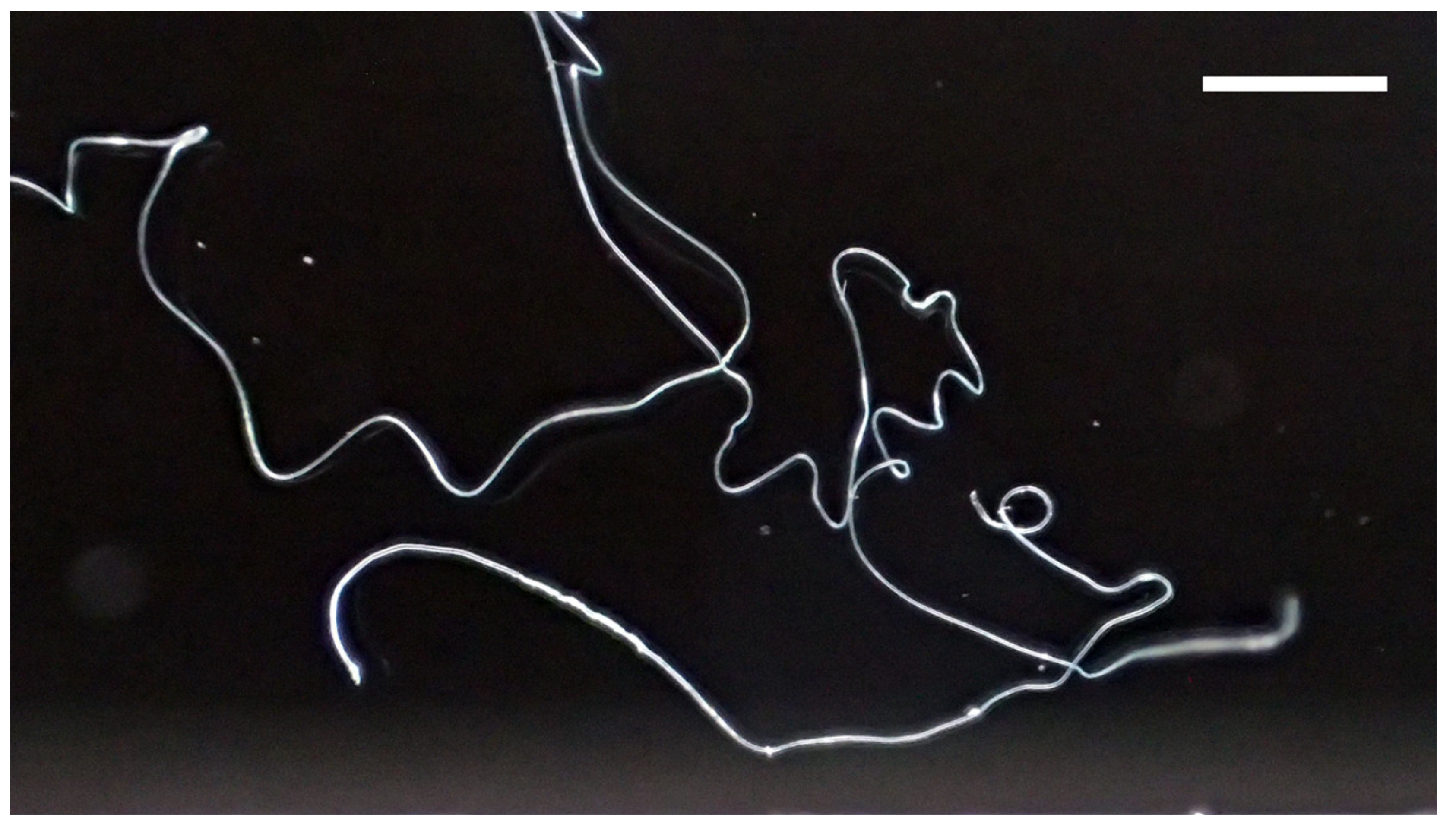 Sustainability 14 00207 g008