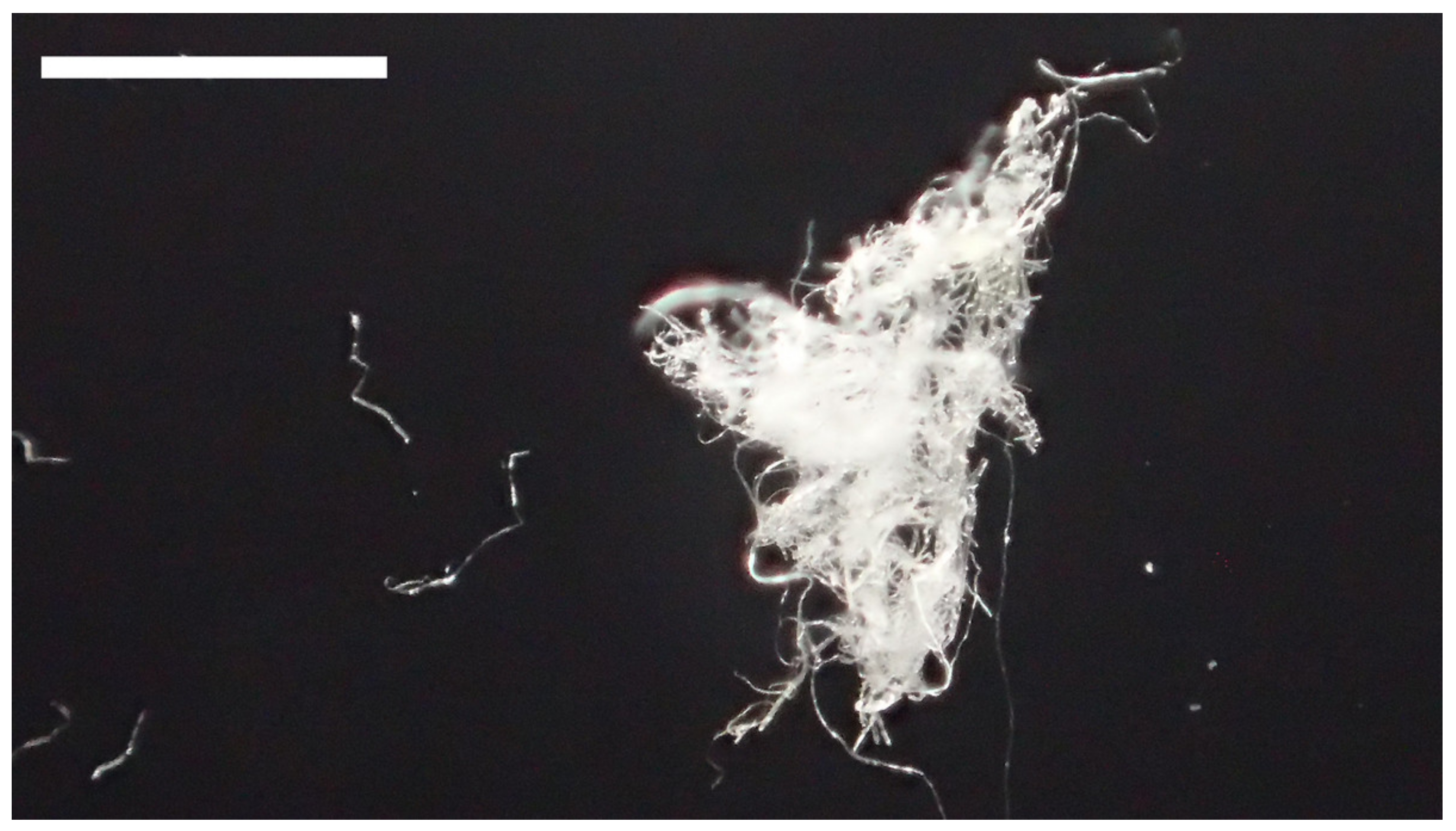 Sustainability 14 00207 g009