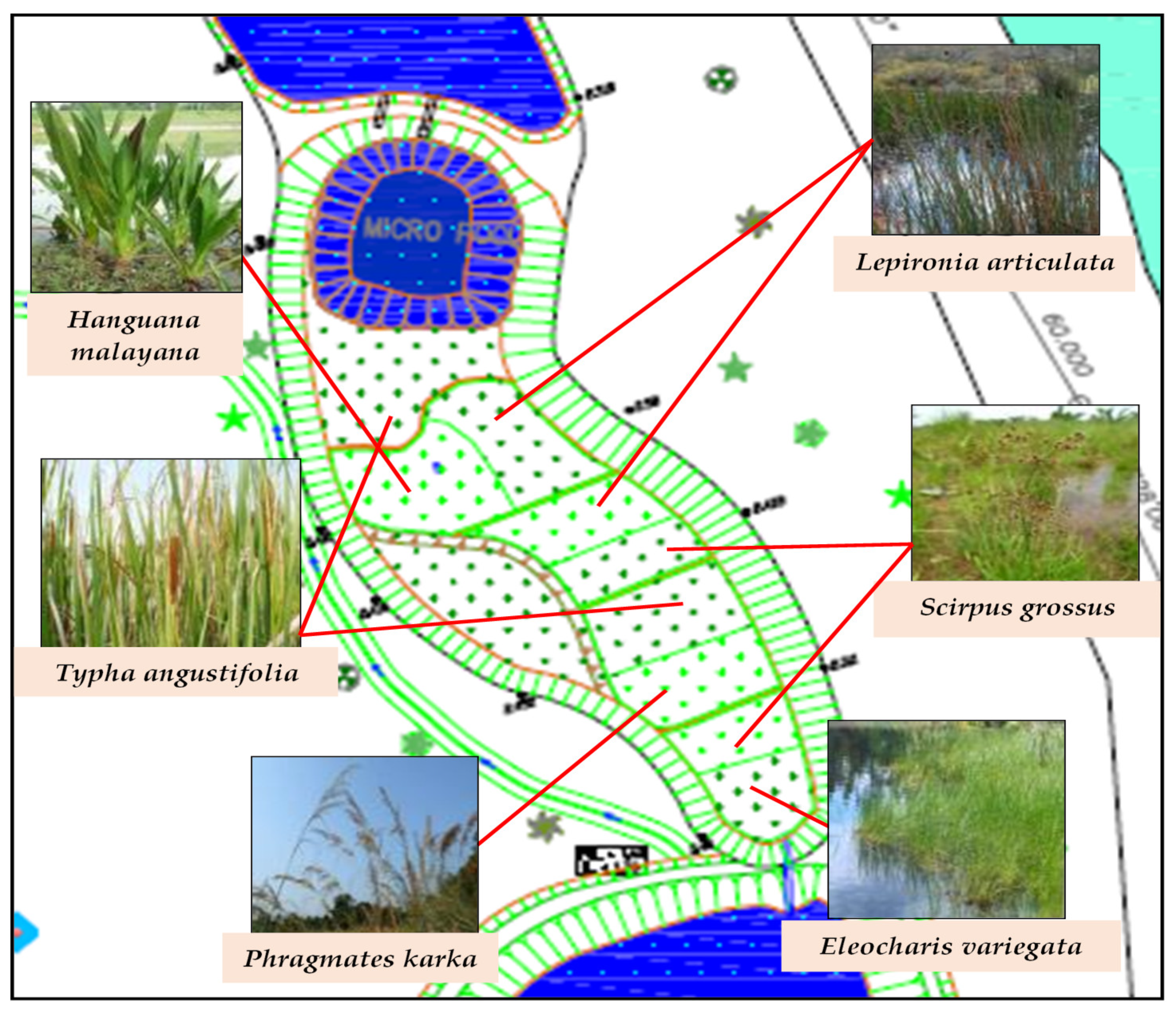 Sustainability 14 00246 g001 550