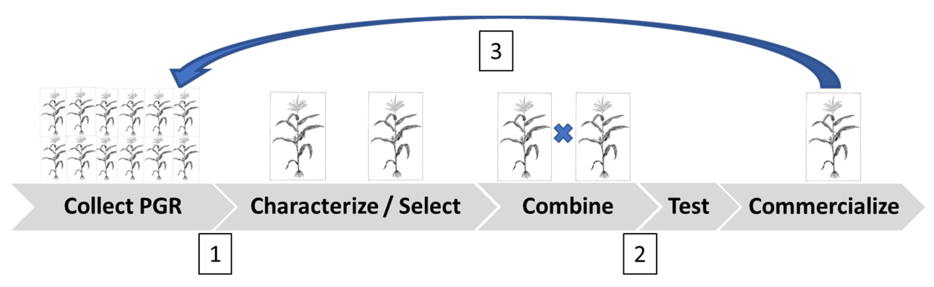 Sustainability 14 00277 g004