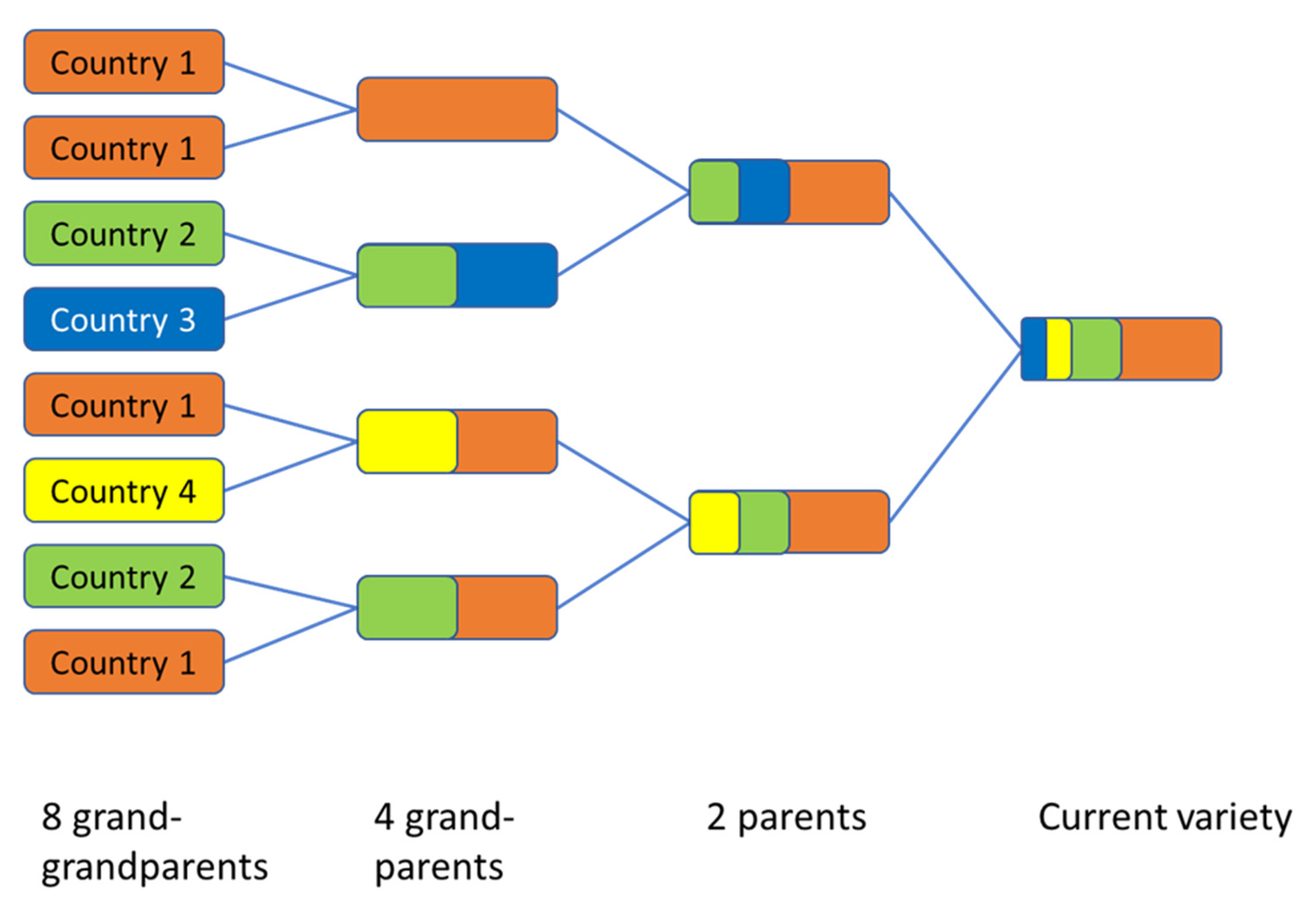Sustainability 14 00277 g005