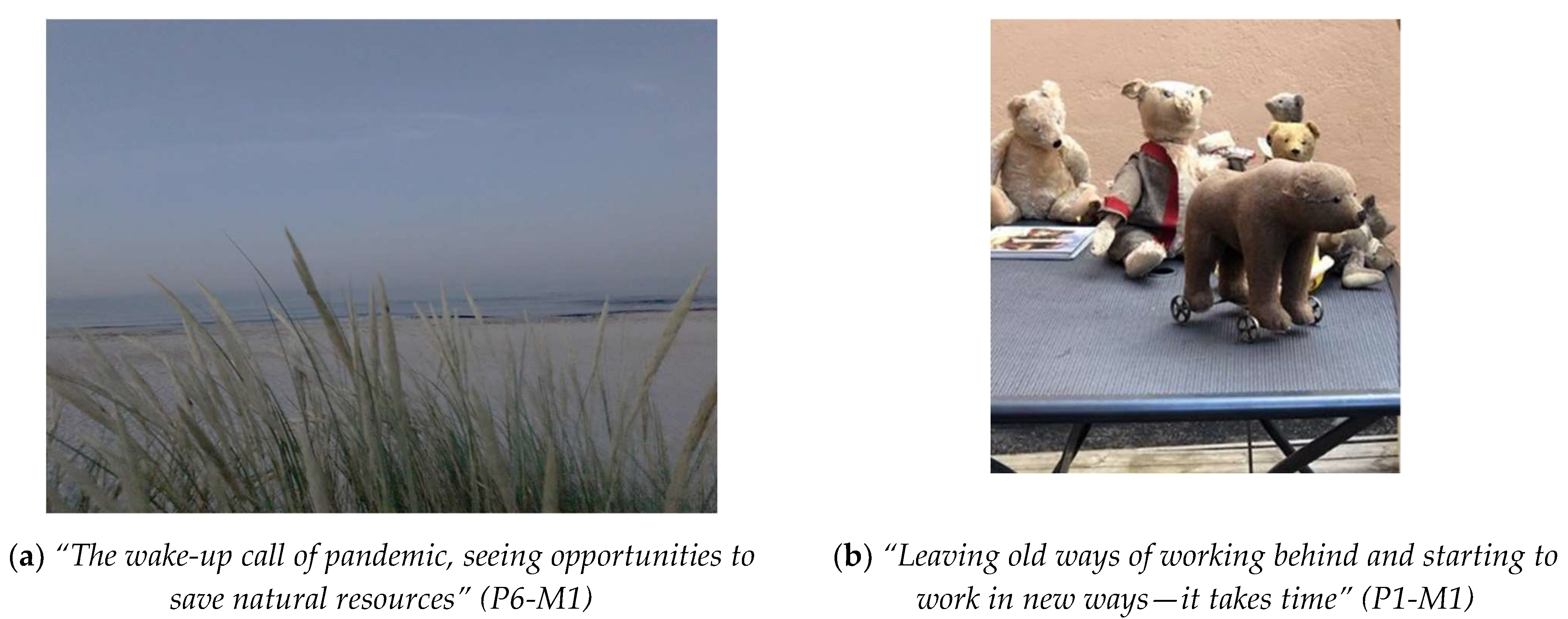 Sustainability 14 00294 g002 550