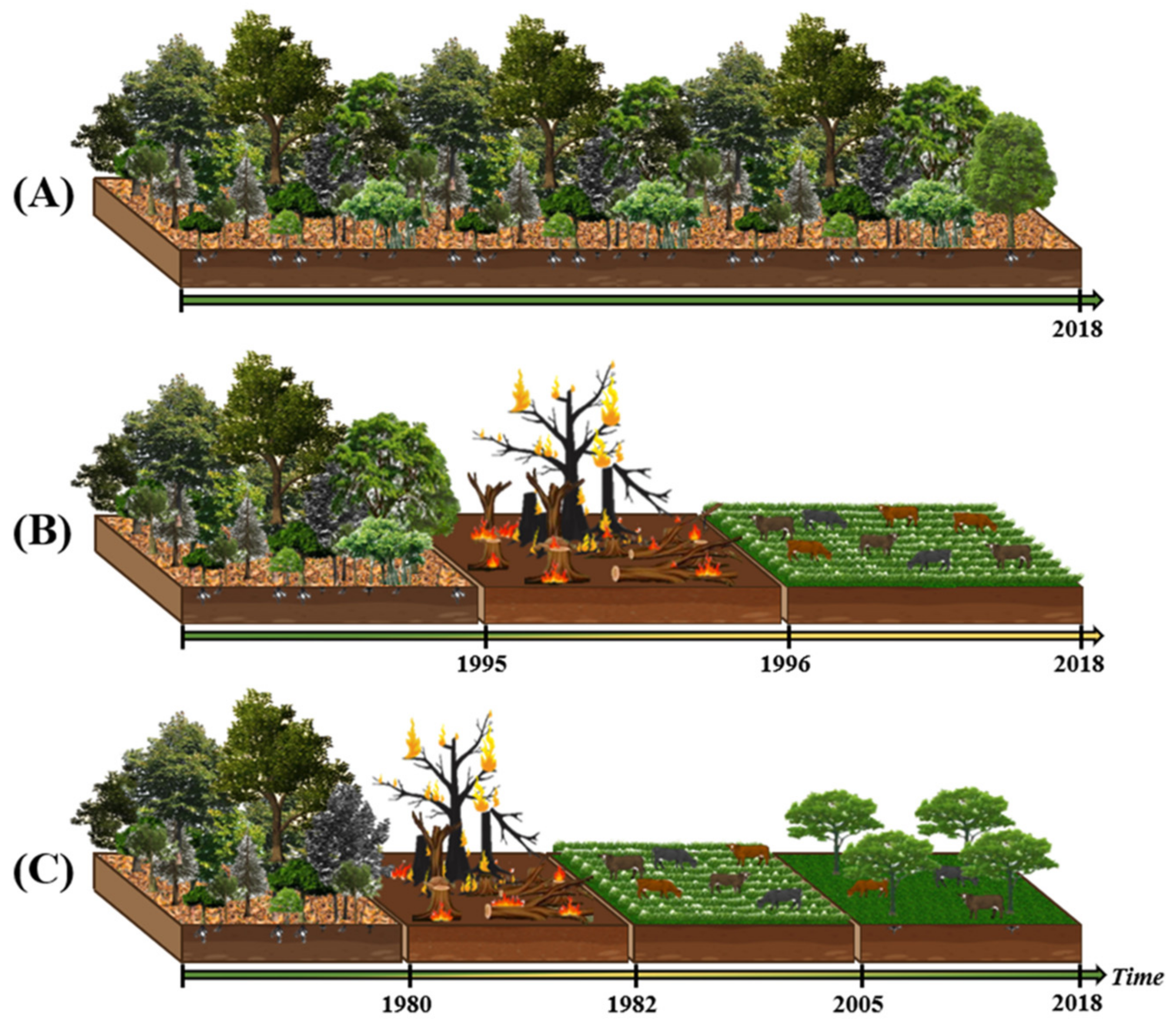 Sustainability 14 00320 g002 550