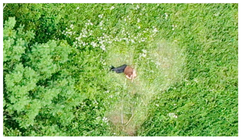 Sustainability 14 00327 g006 550