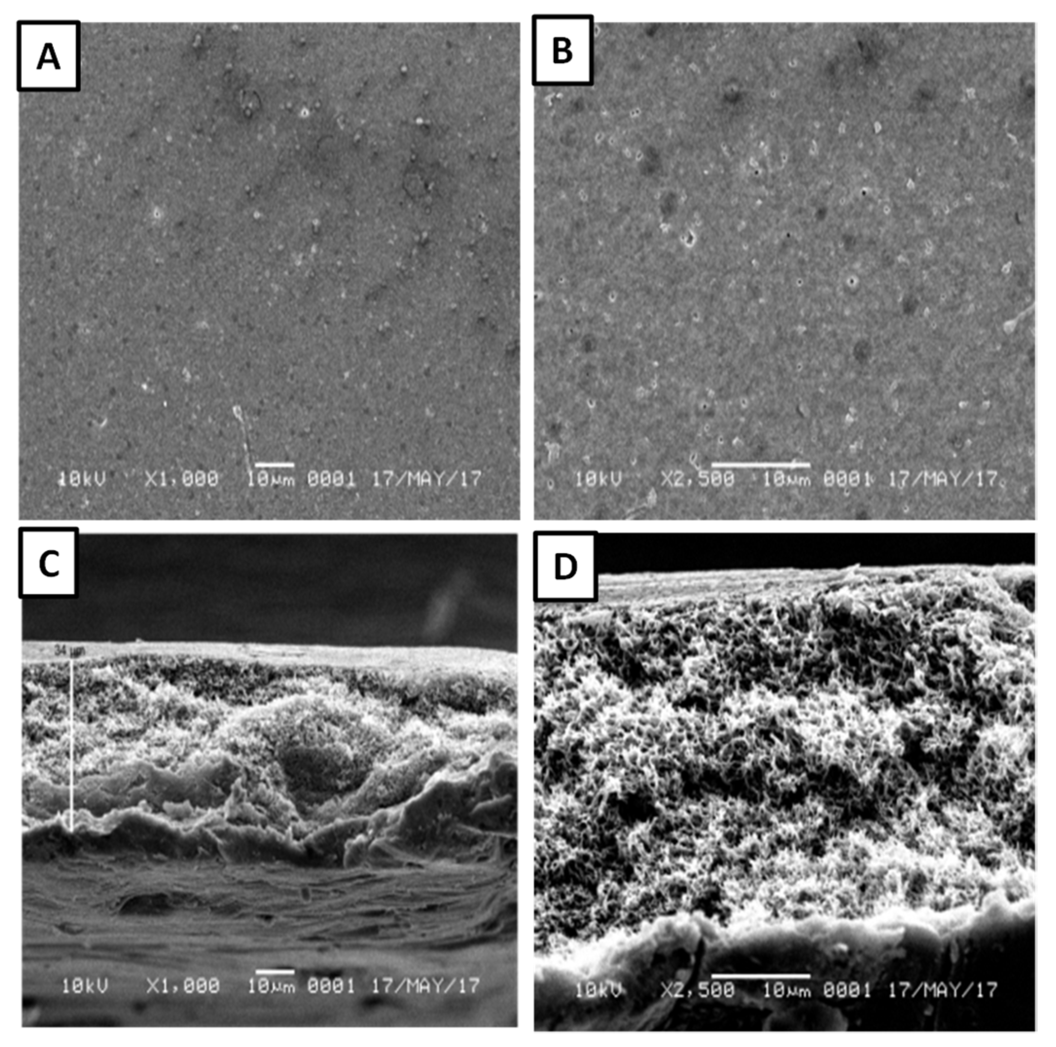 Sustainability 14 00370 g002 Sustainability 14 00370 g002