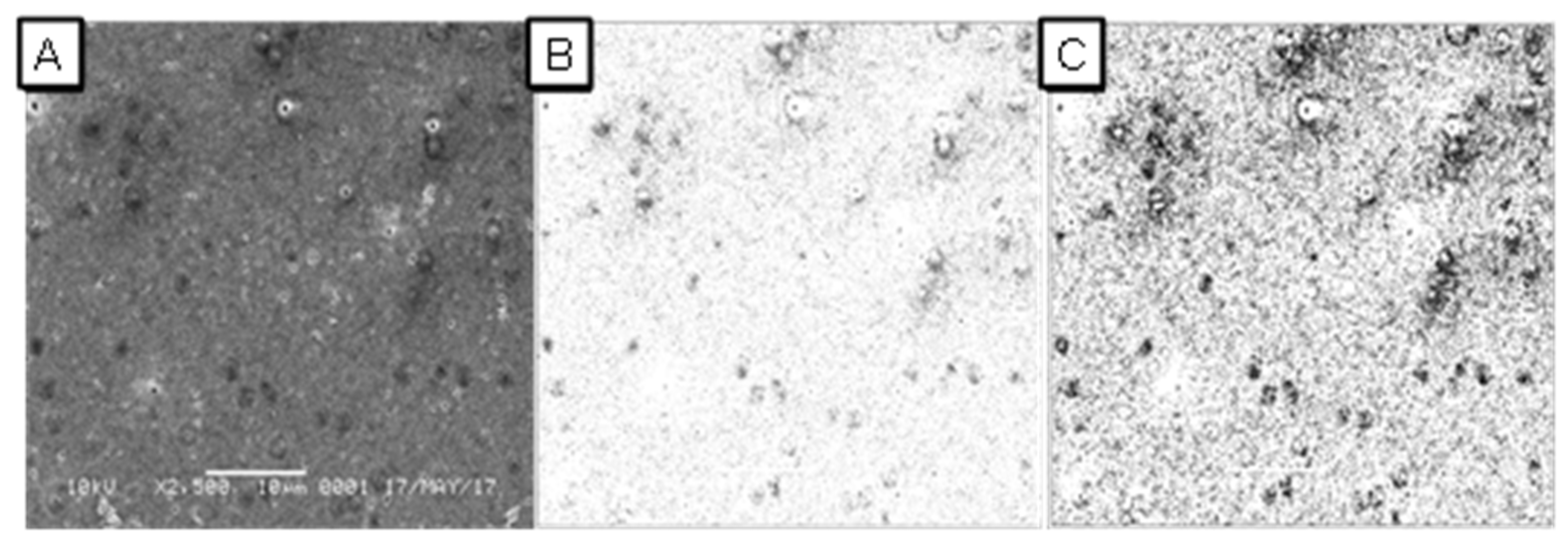 Sustainability 14 00370 g003 Sustainability 14 00370 g003