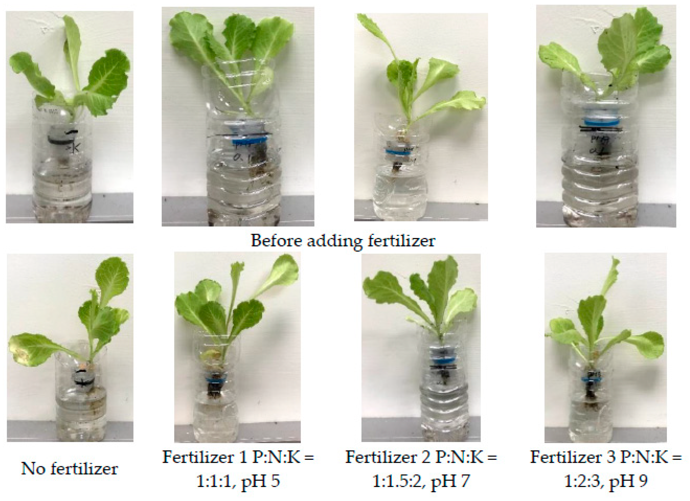 Sustainability 14 00387 g005