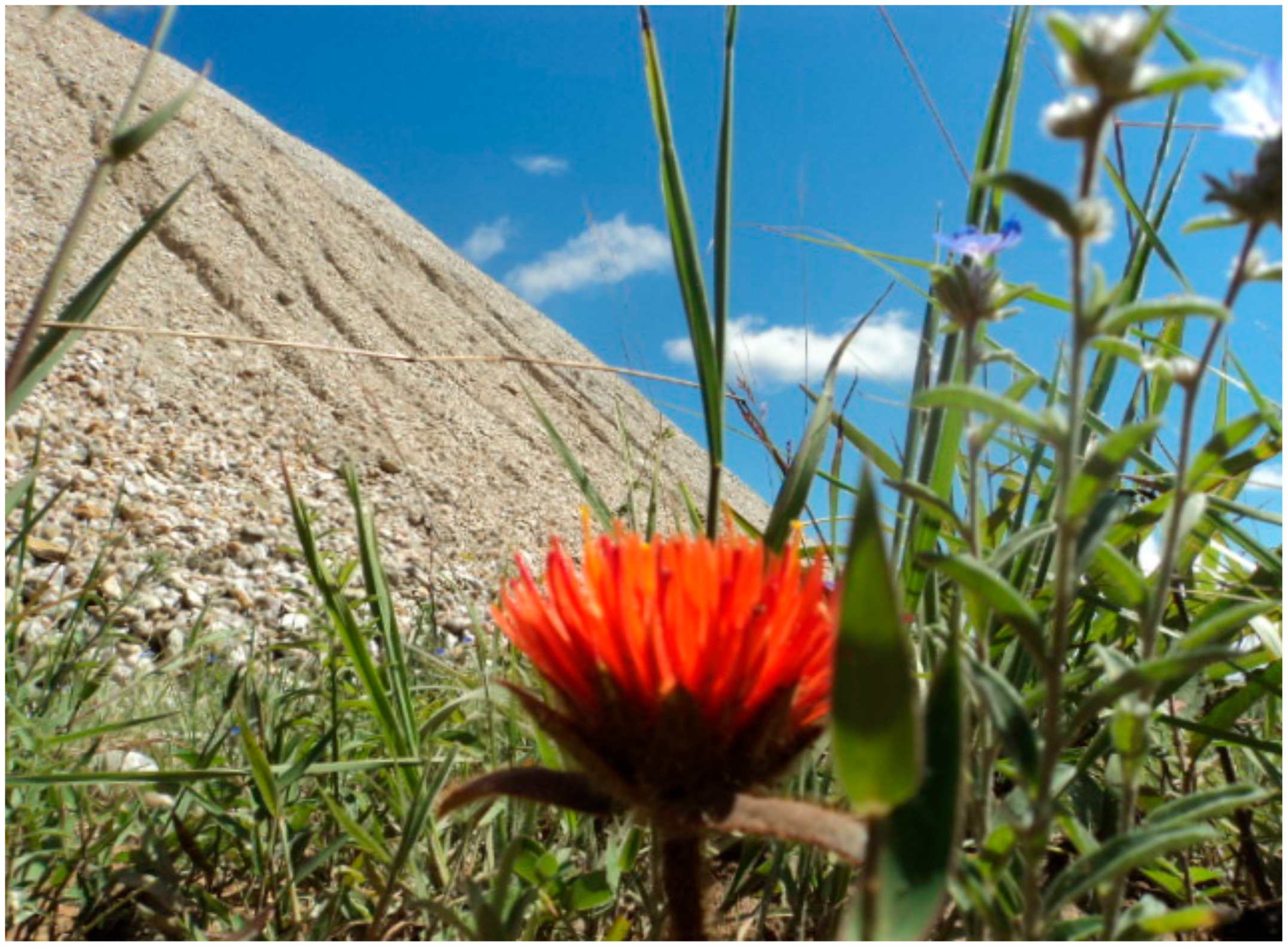 Sustainability 14 00389 g008