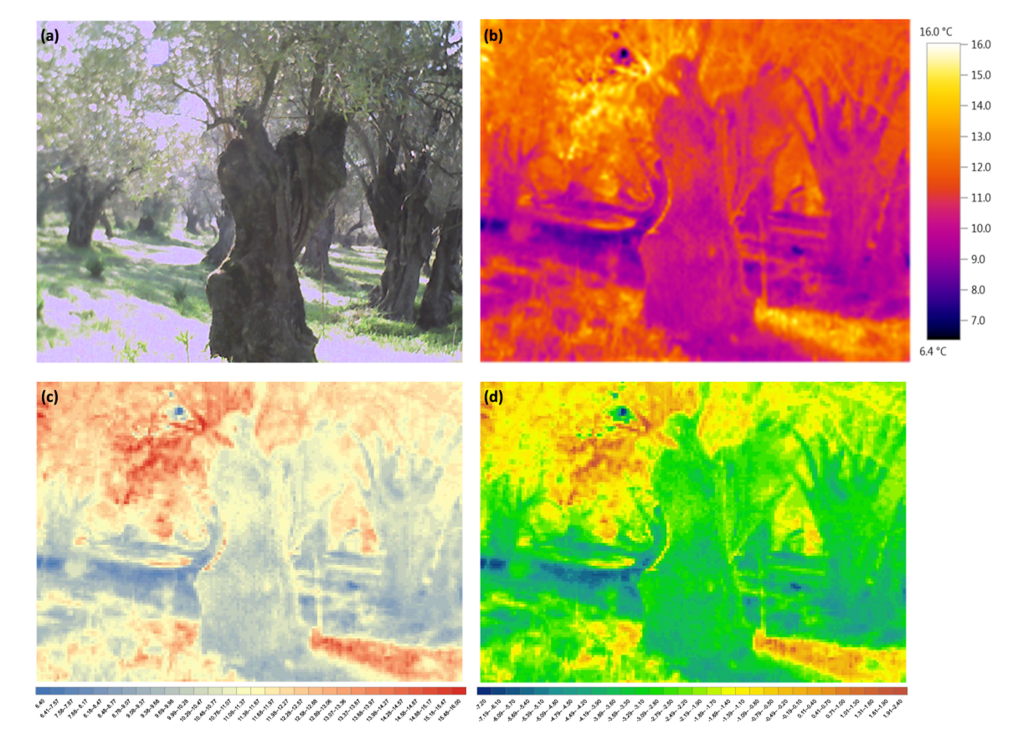 Sustainability 14 00391 g002 550