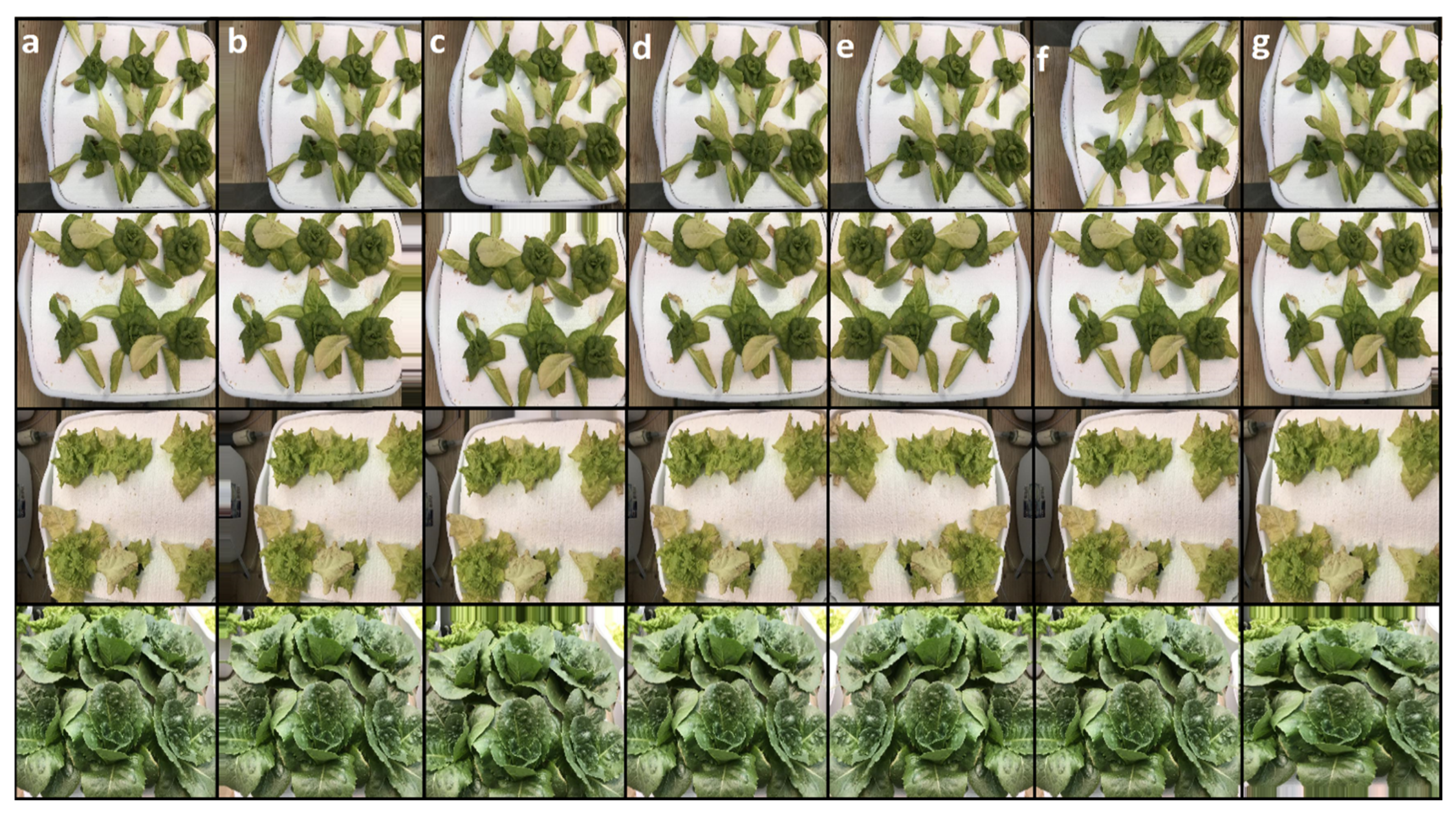 Sustainability 14 00416 g002