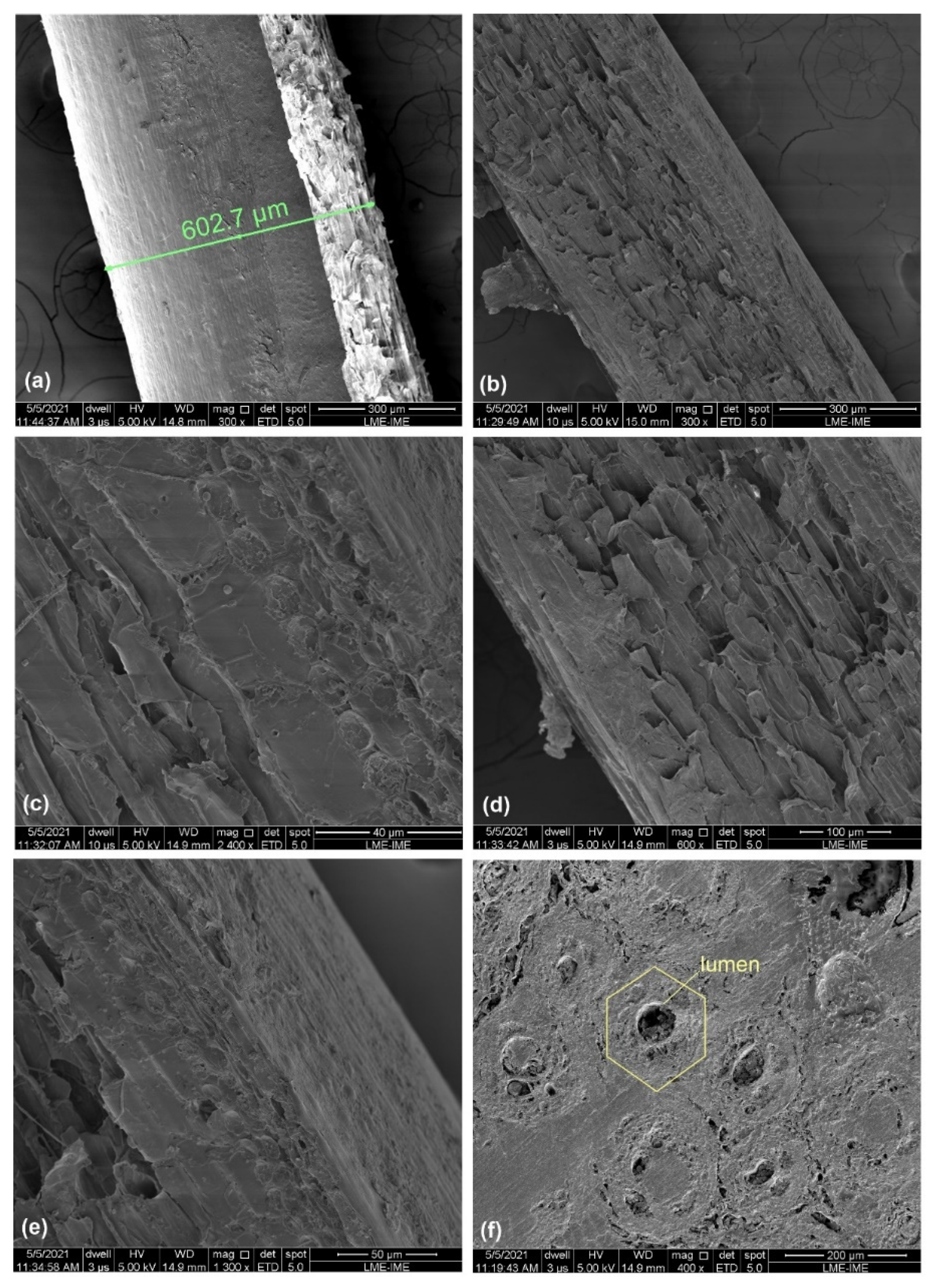 Sustainability 14 00421 g005
