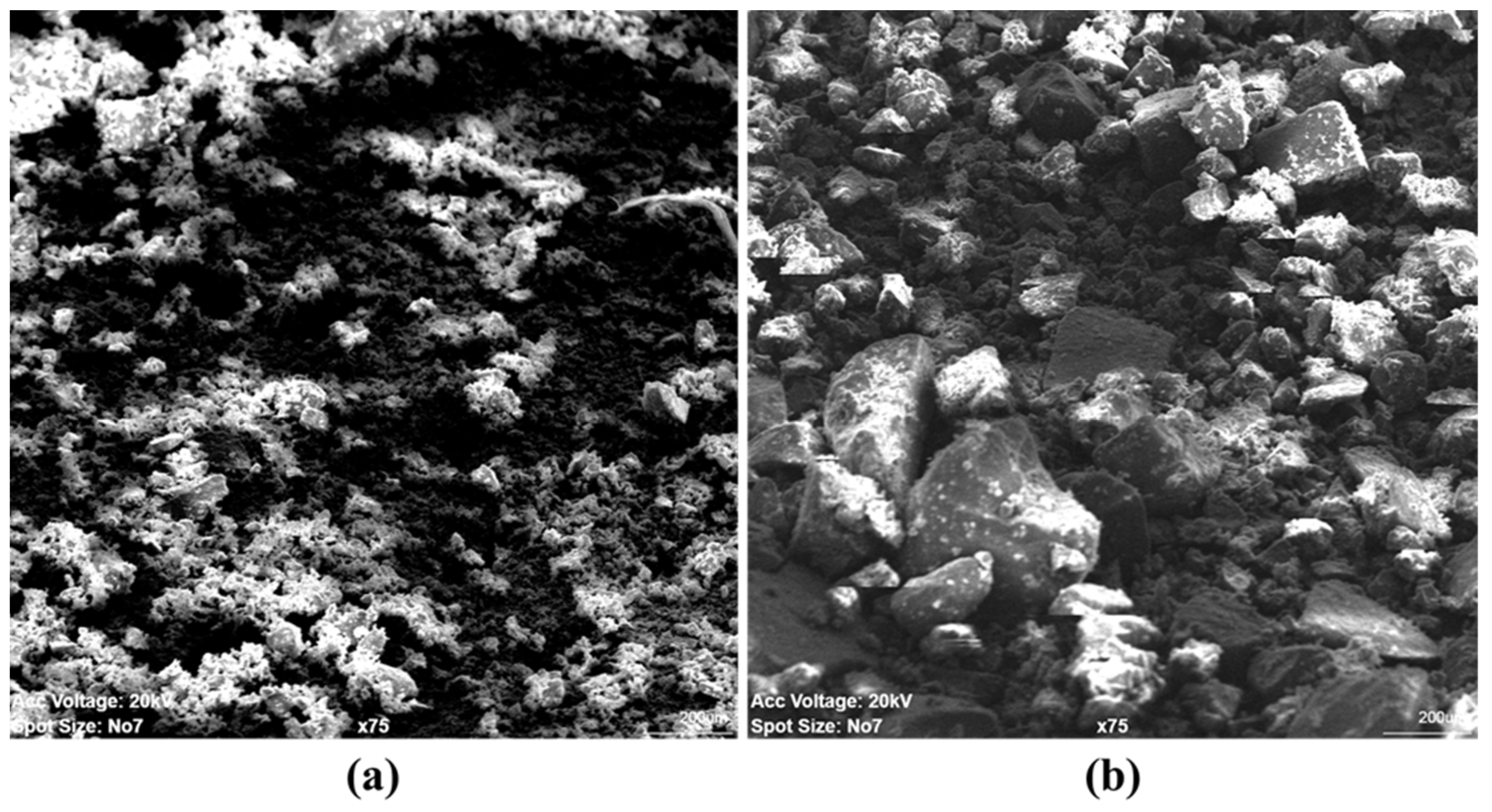 Sustainability 14 00455 g006a