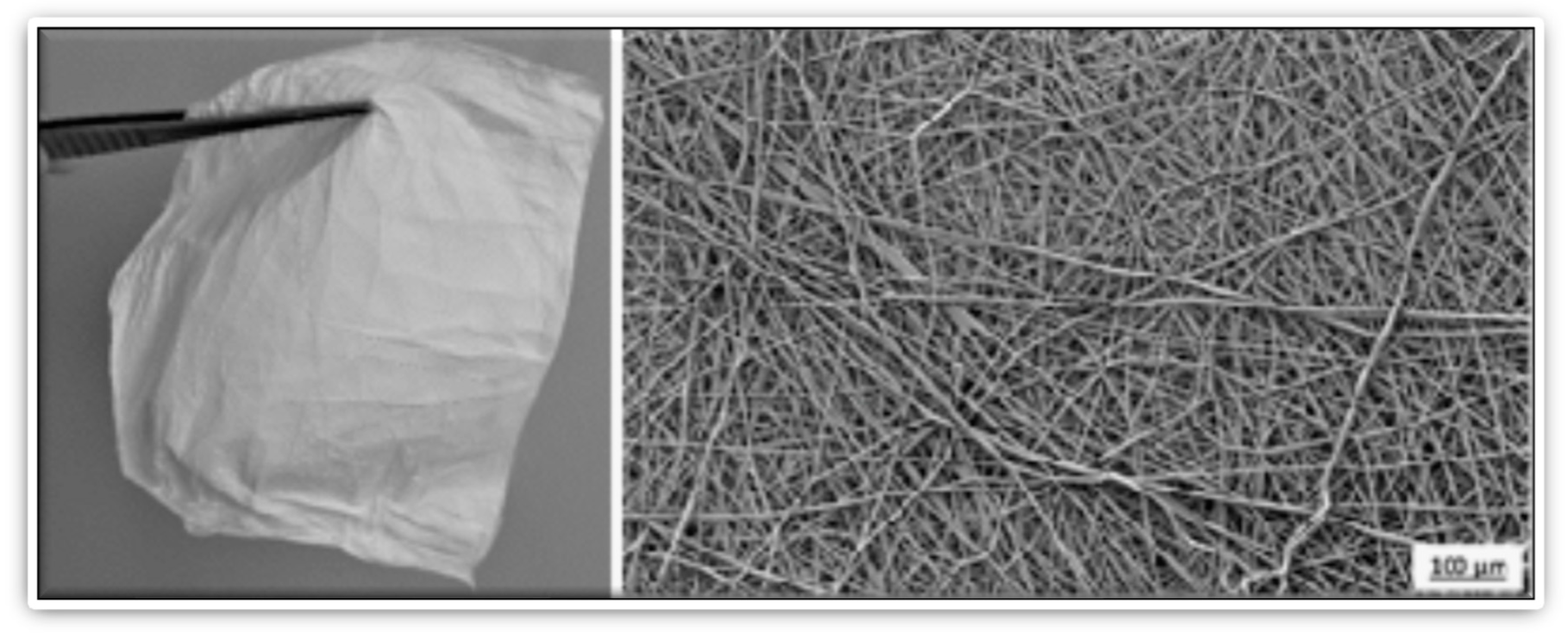 Sustainability 14 00464 g003