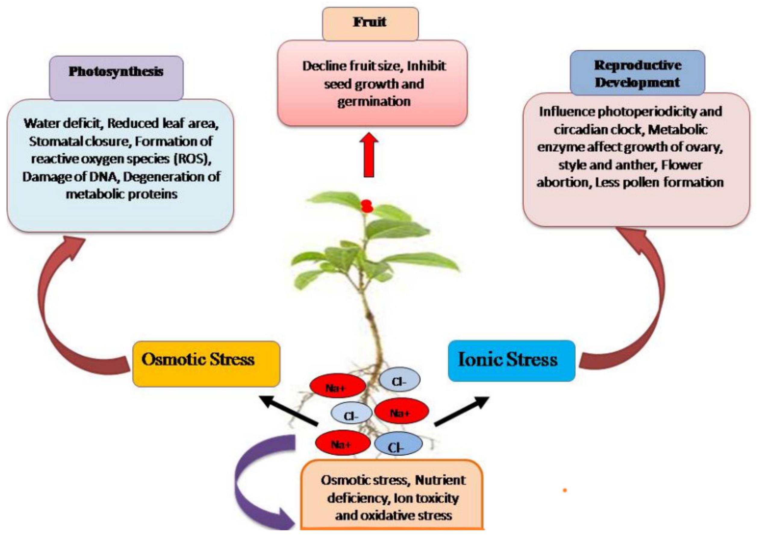 Sustainability 14 00490 g001