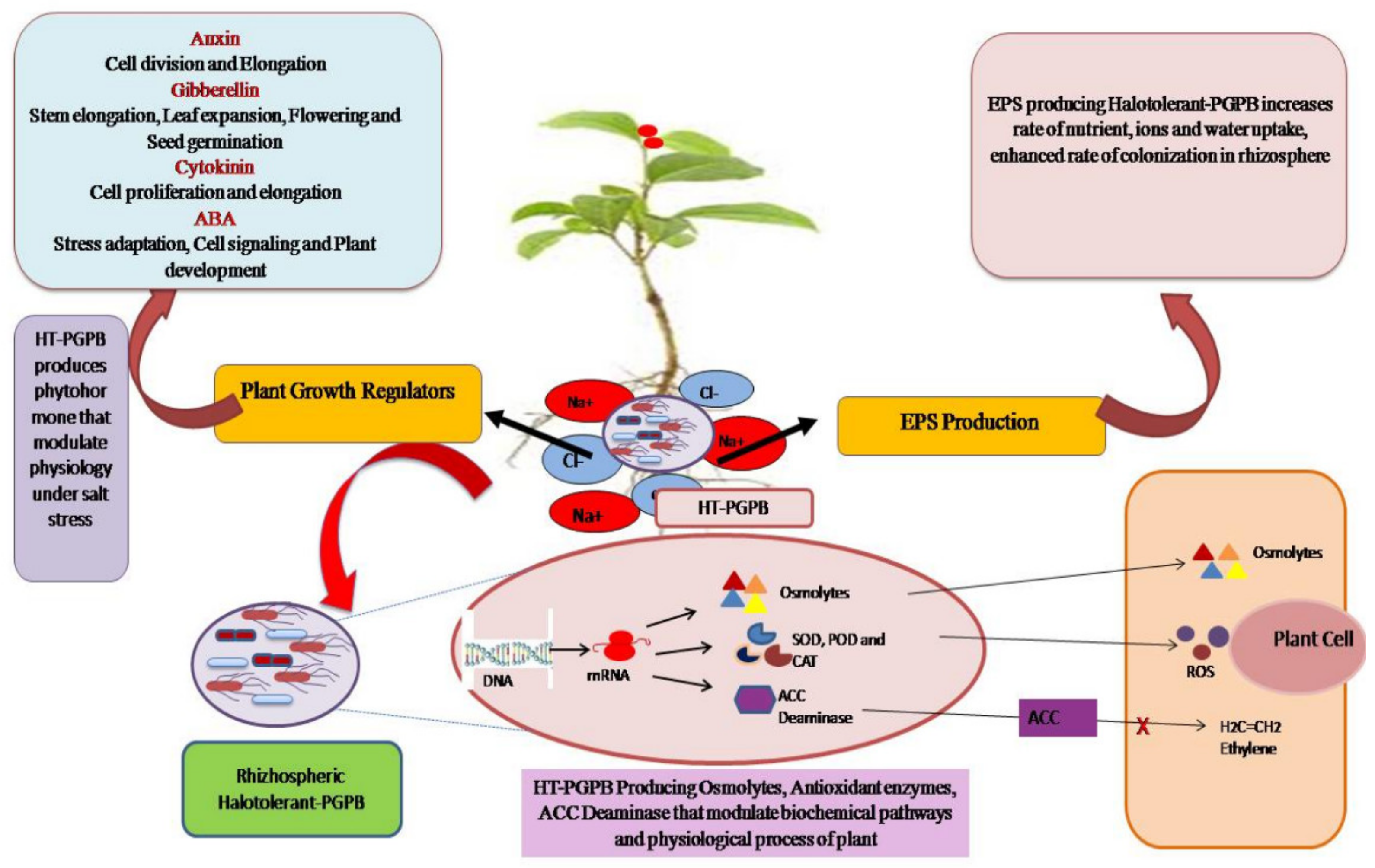 Sustainability 14 00490 g003