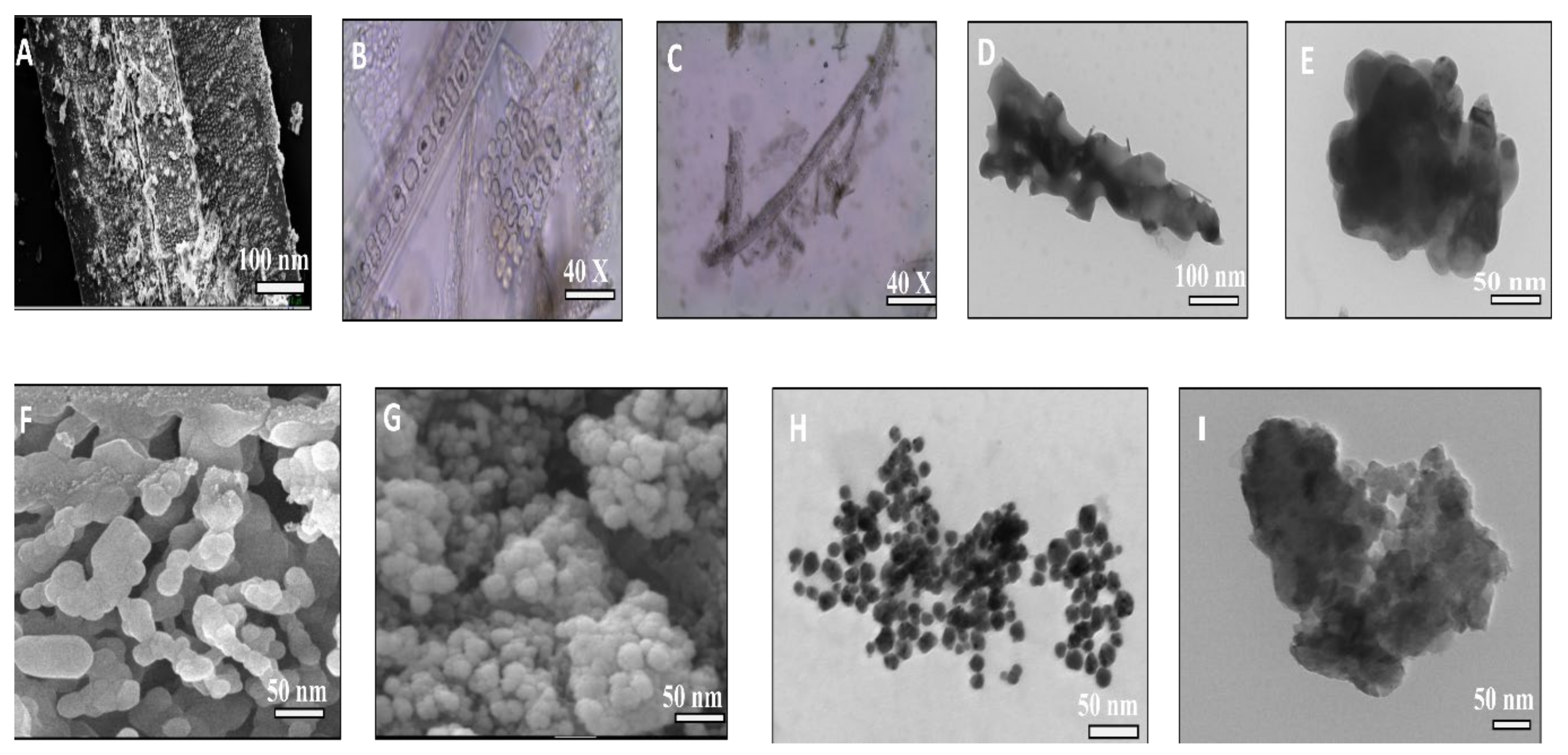 Sustainability 14 00539 g005