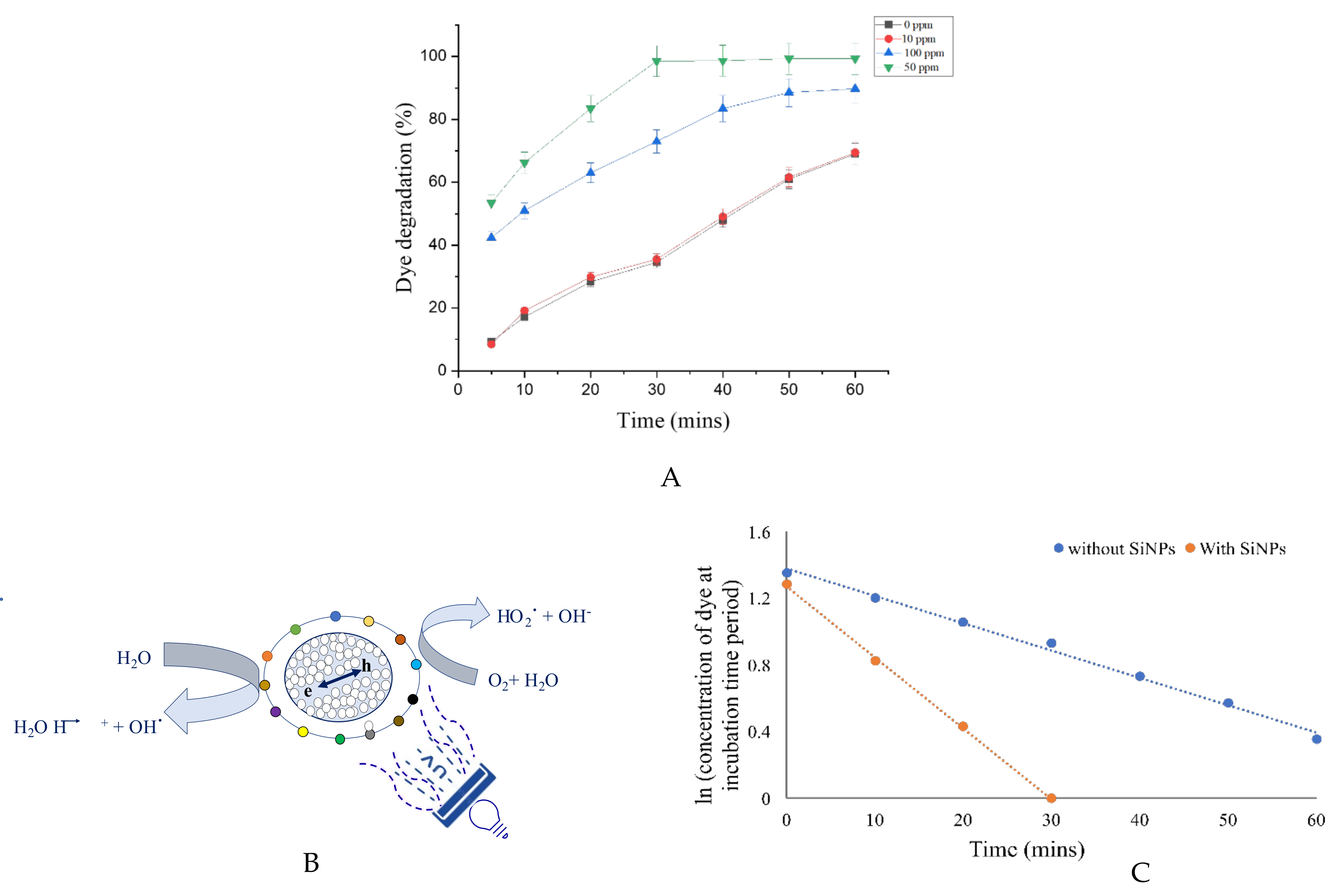 Sustainability 14 00539 g007