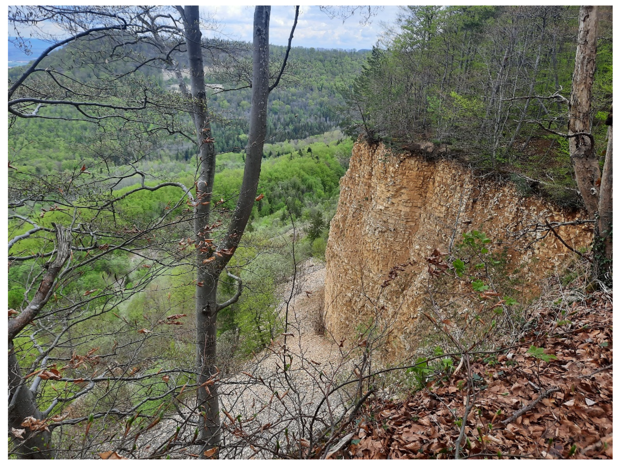 Sustainability 14 00559 g002