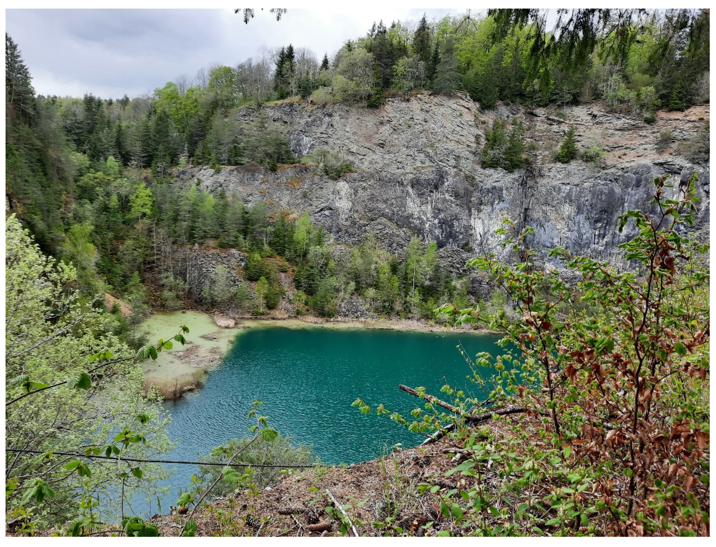 Sustainability 14 00559 g003