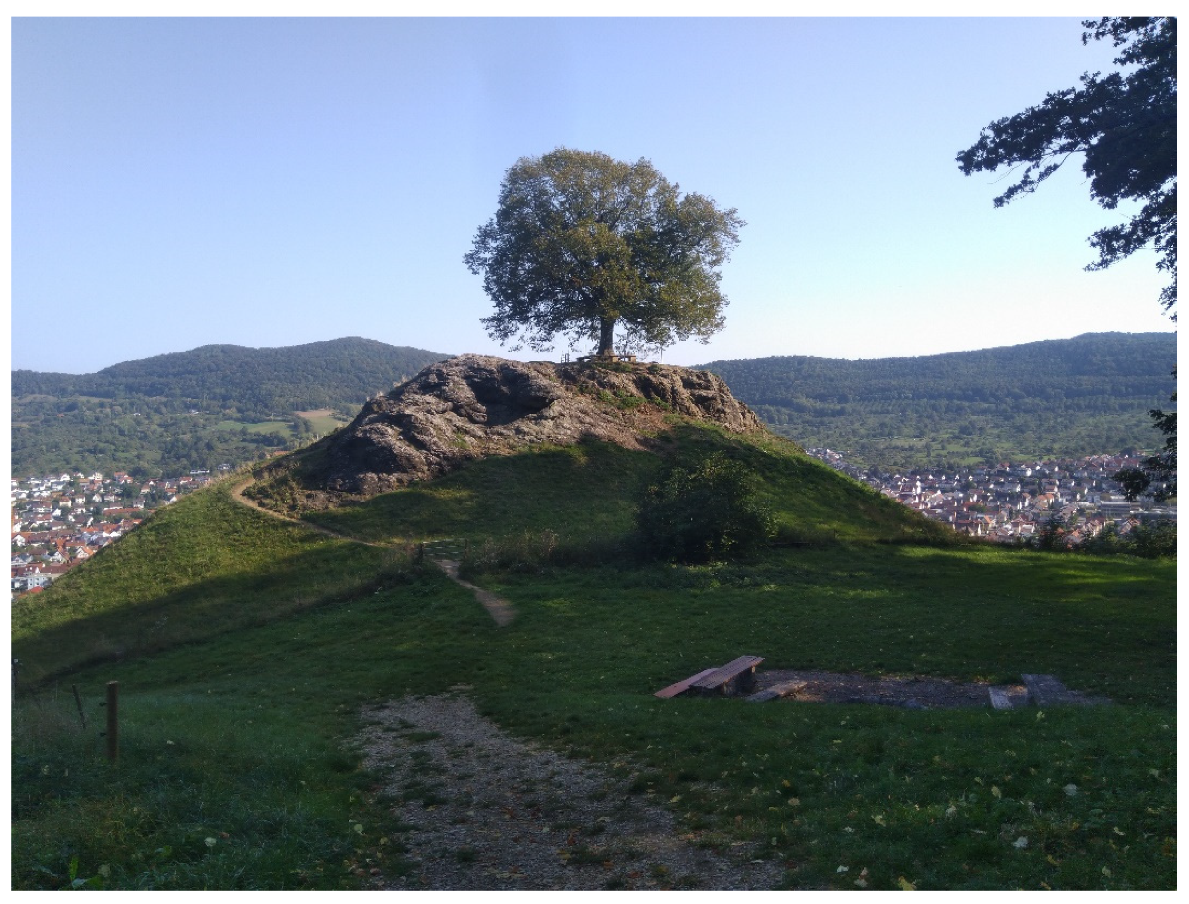 Sustainability 14 00559 g007