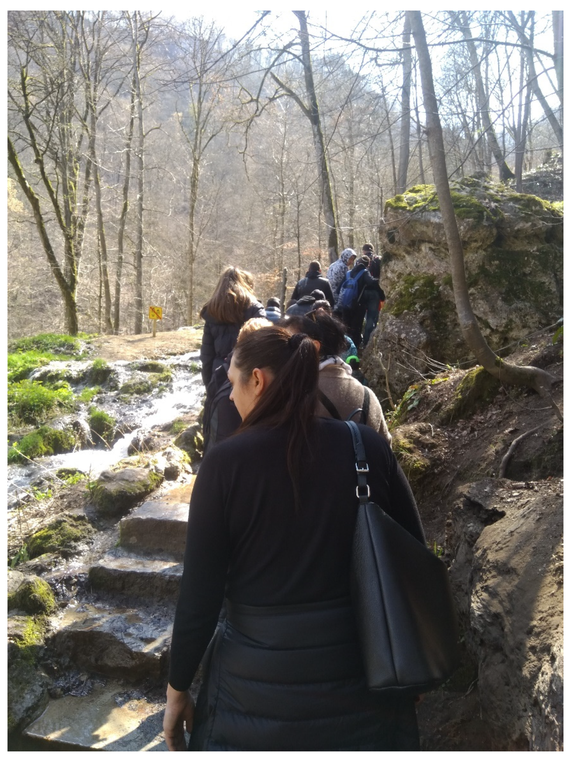 Sustainability 14 00559 g012