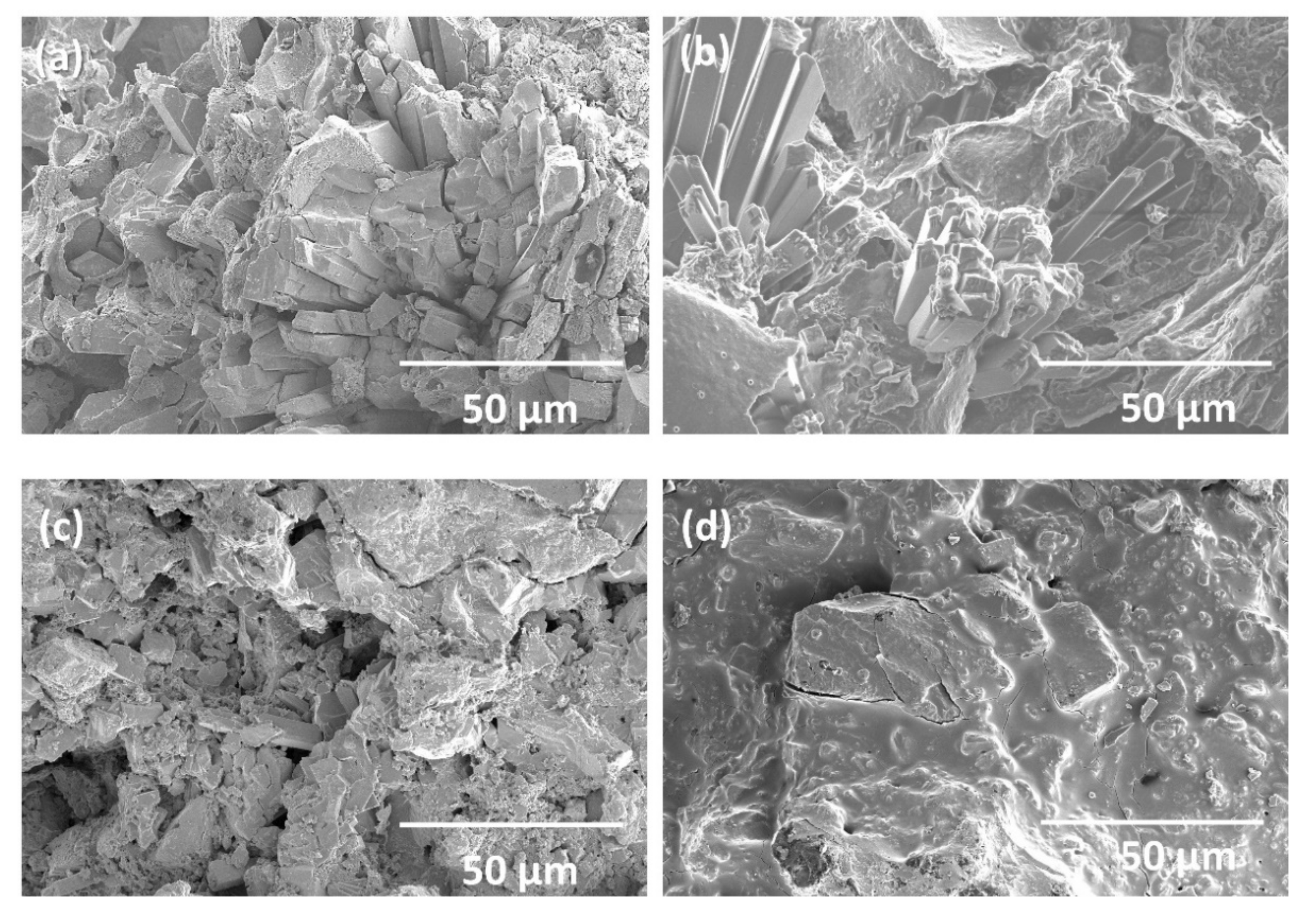Sustainability 14 00575 g003
