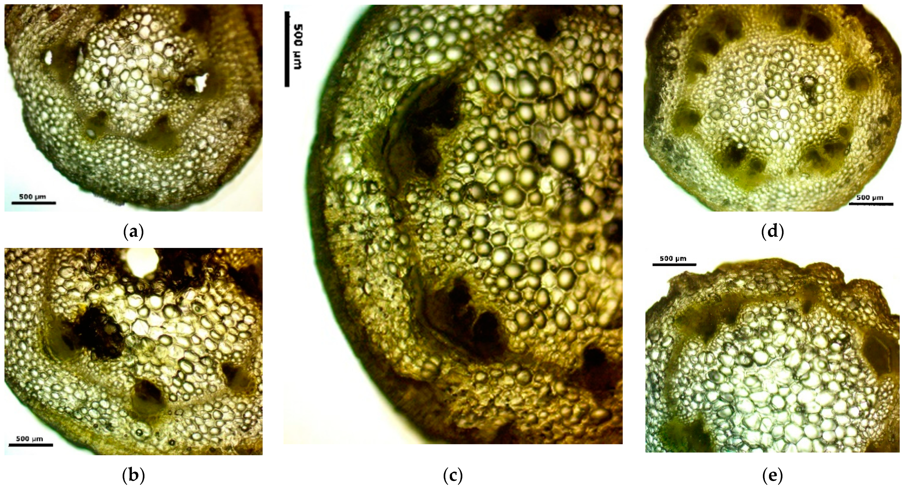 Sustainability 14 00588 g004